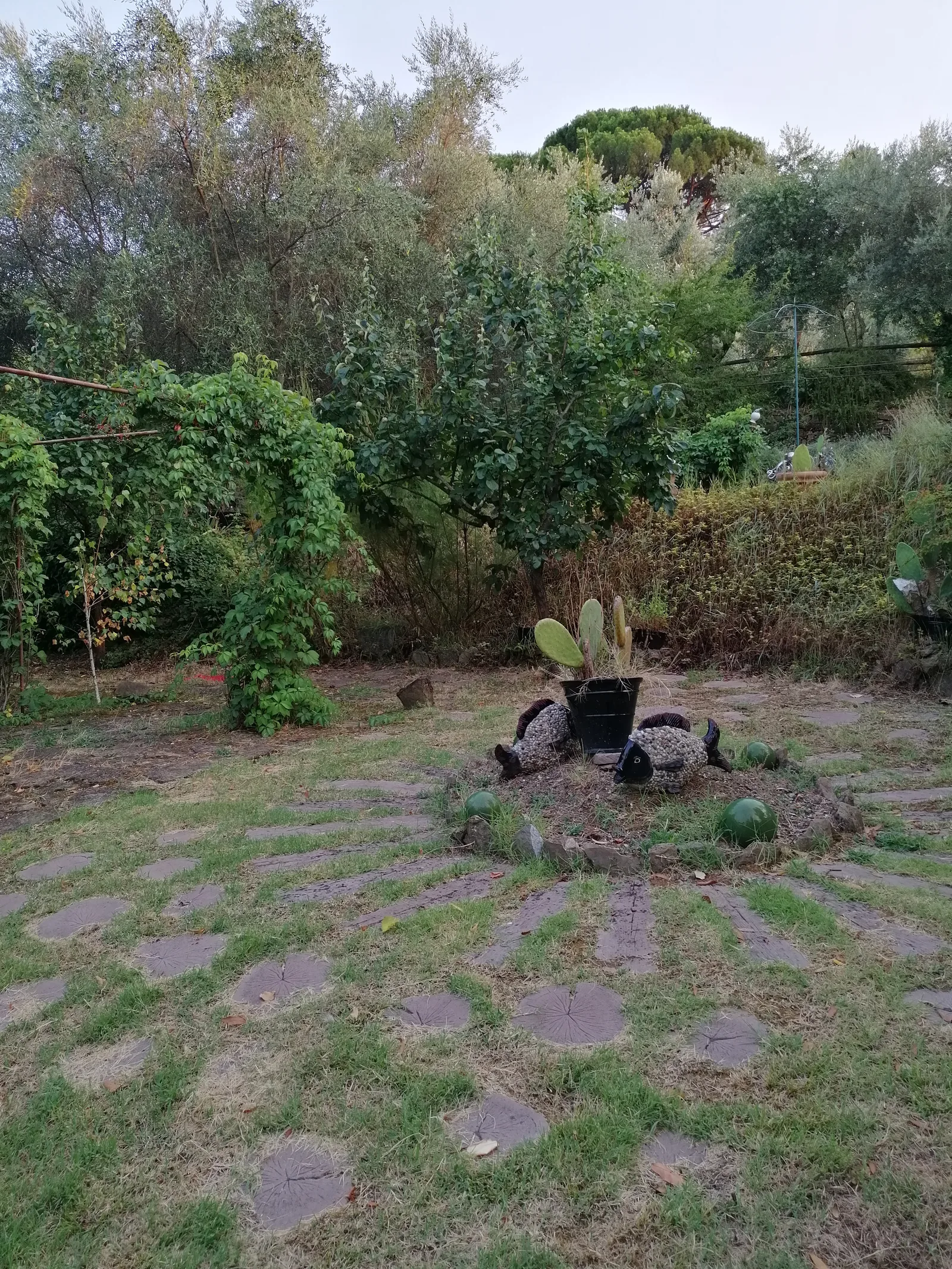 Main view at EdV a Garden with a View Florence — travel photo