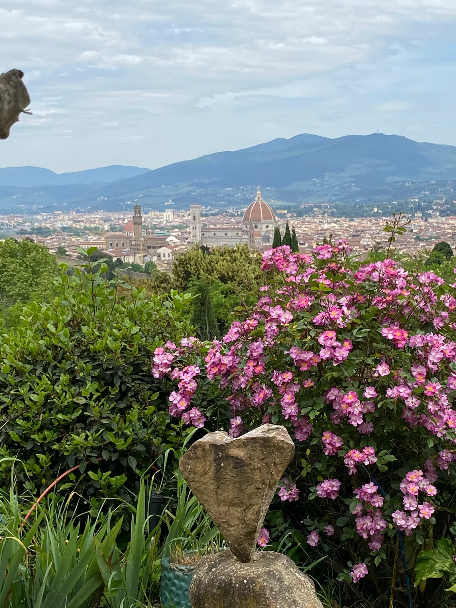 Interior at EdV a Garden with a View Florence — travel photo
