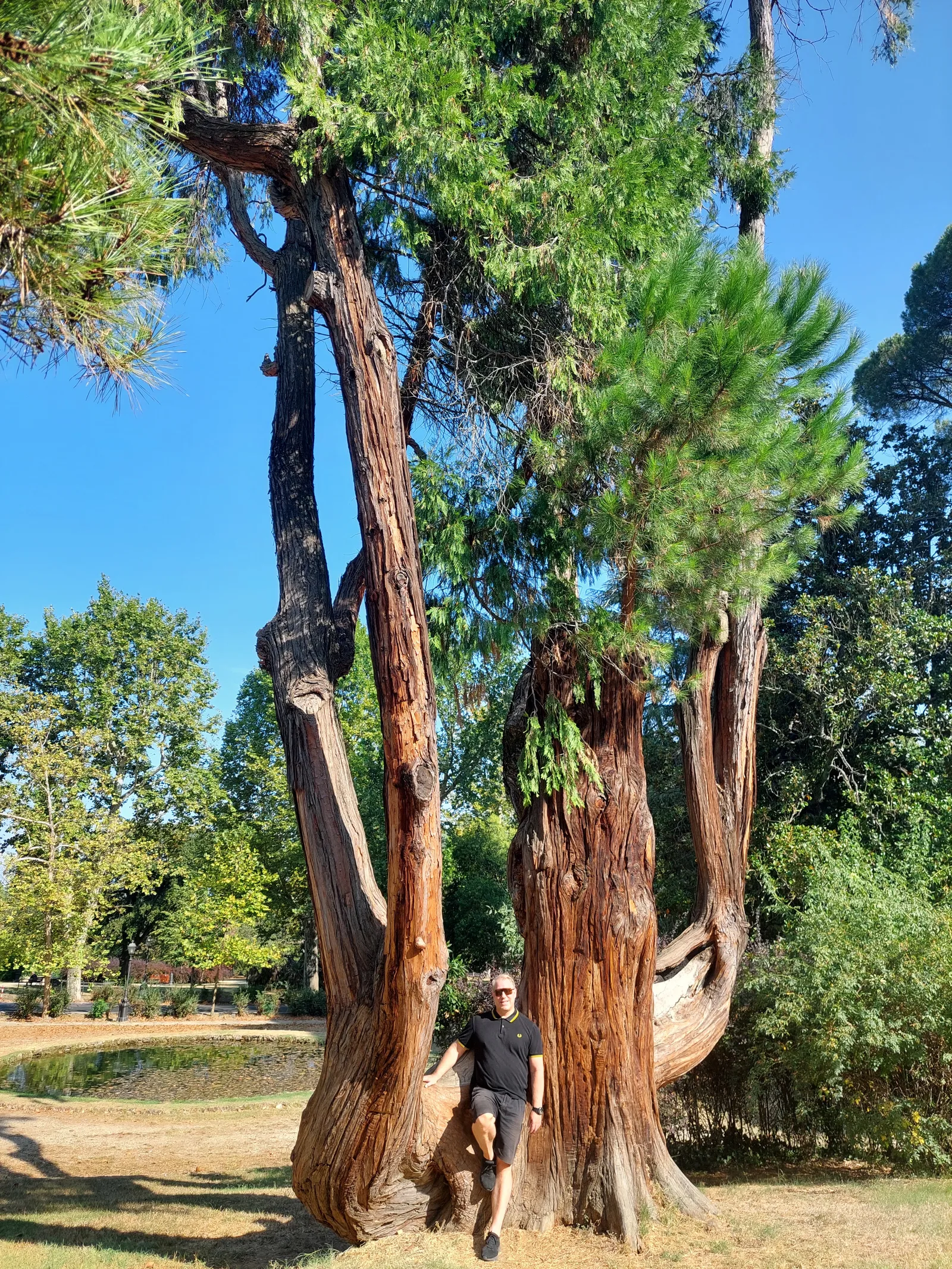 Details at Giardino del Bobolino Florence — travel photo