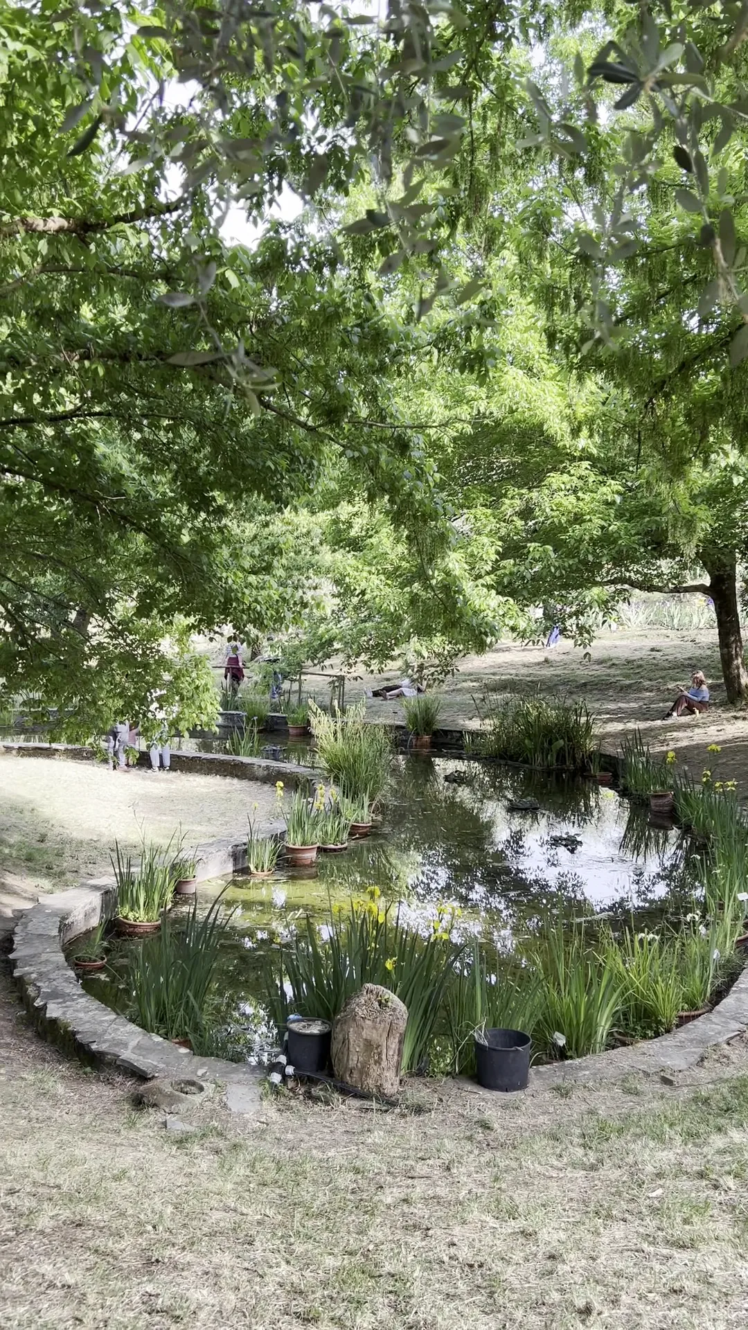 Interior at Iris Garden of Italy Florence — travel photo