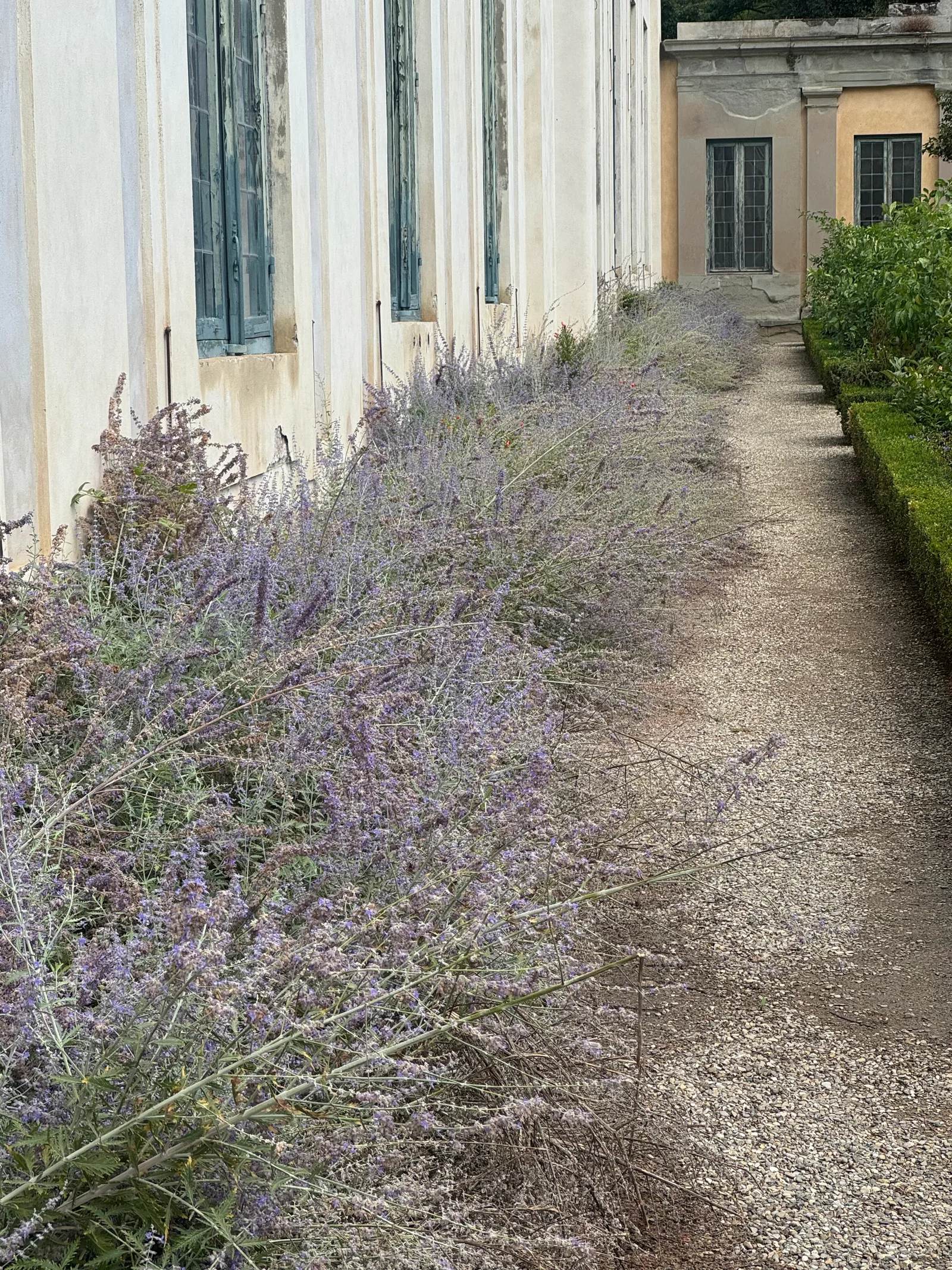 Details at Limonaia Florence — travel photo