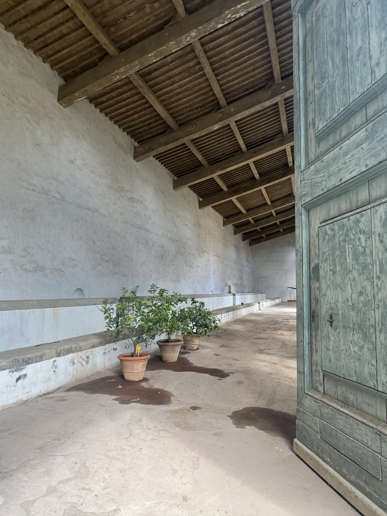 Atmosphere at Limonaia Florence — travel photo