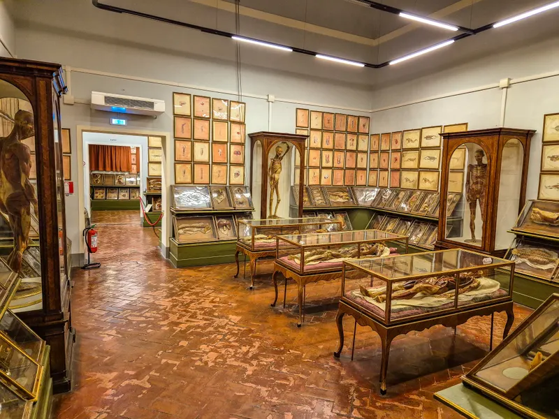Museum of Natural History, La Specola