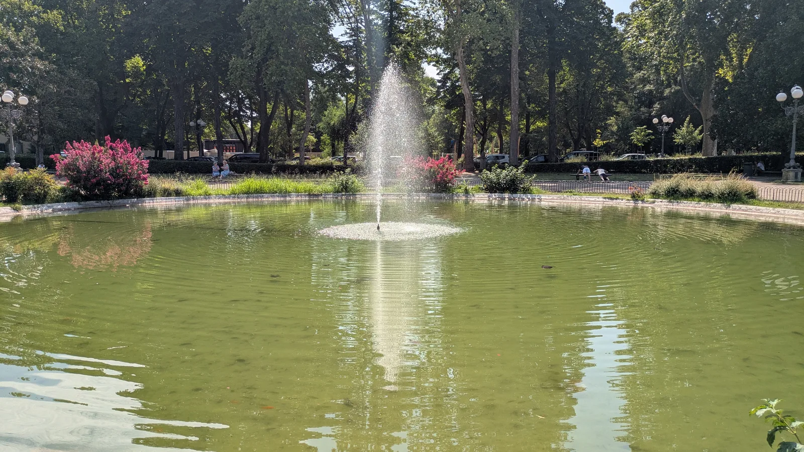 Details at Parco delle Cascine Florence — travel photo