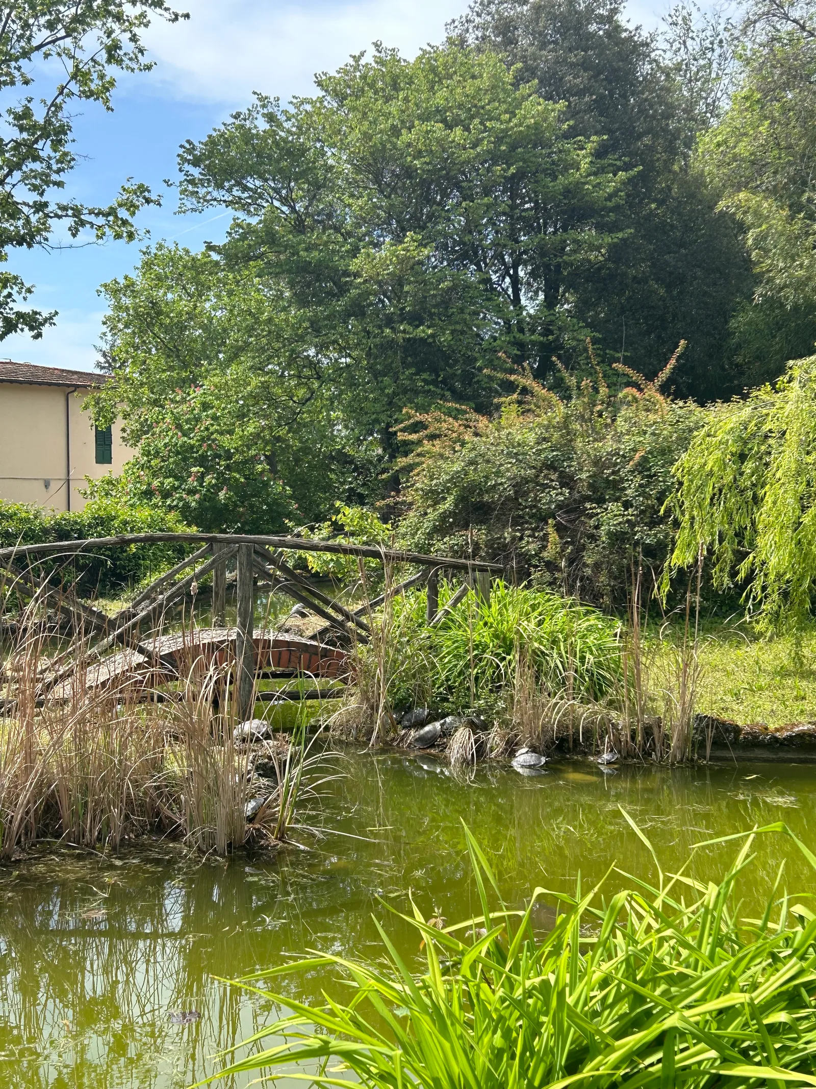 Atmosphere at Parco di Villa Il Ventaglio Florence — travel photo