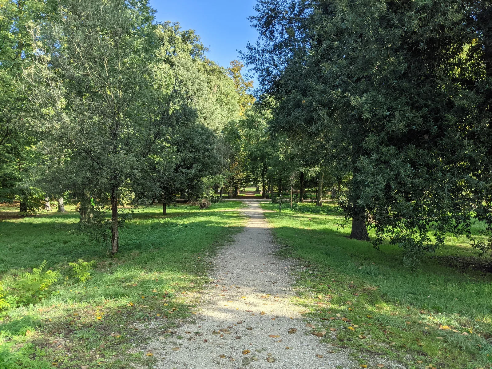Atmosphere at Prato Del Quercione Florence — travel photo