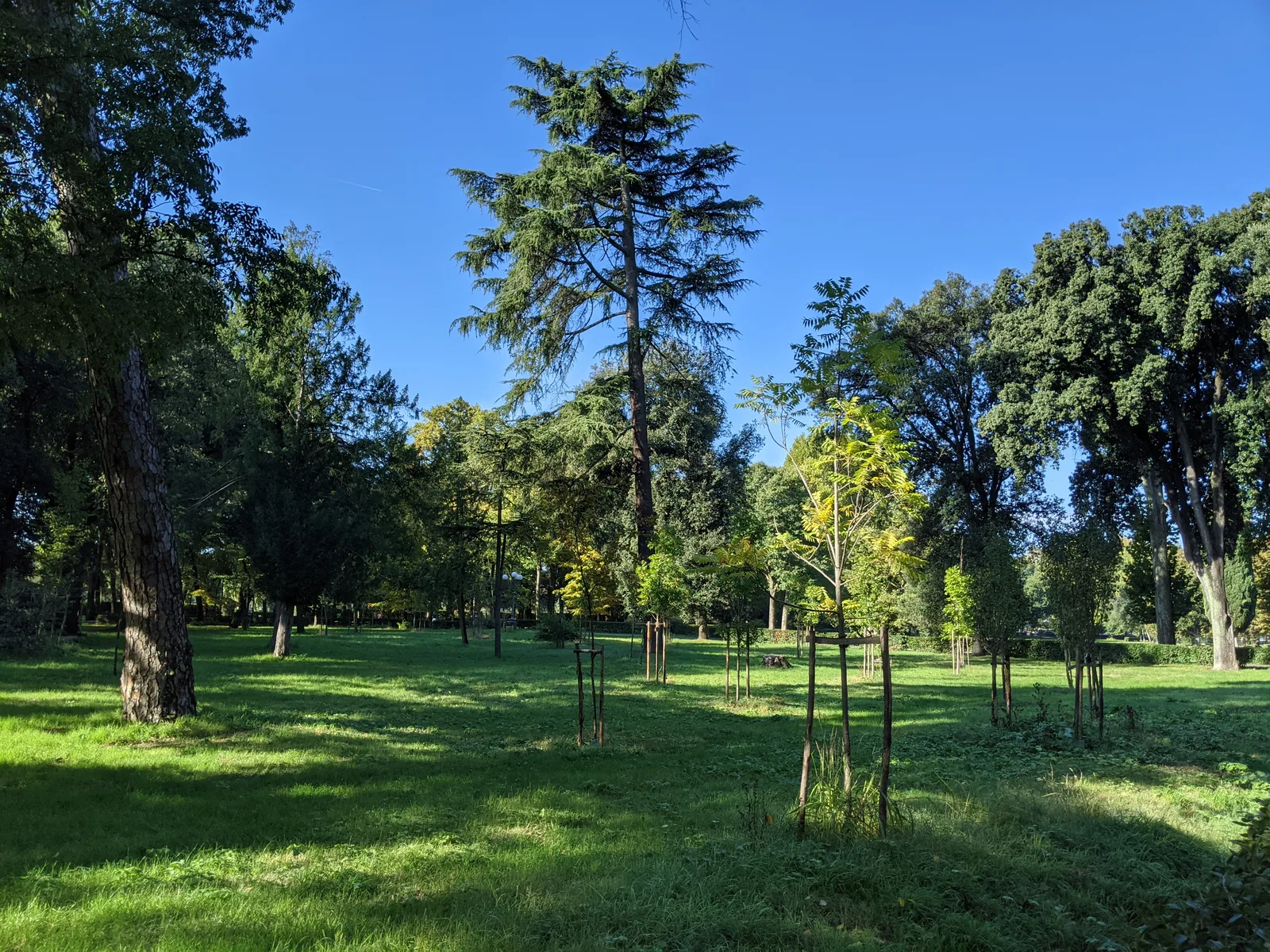 Prato Del Quercione — romantic guide Florence