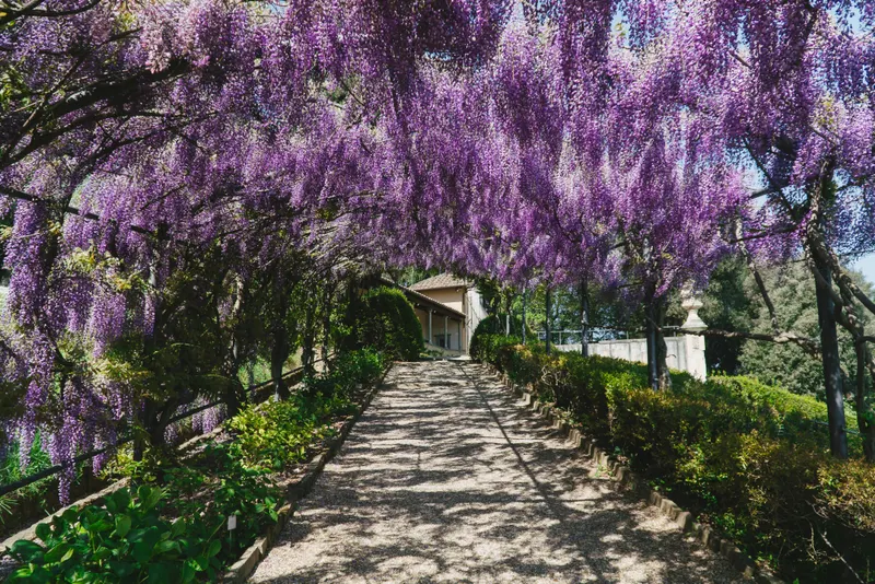 Villa Bardini