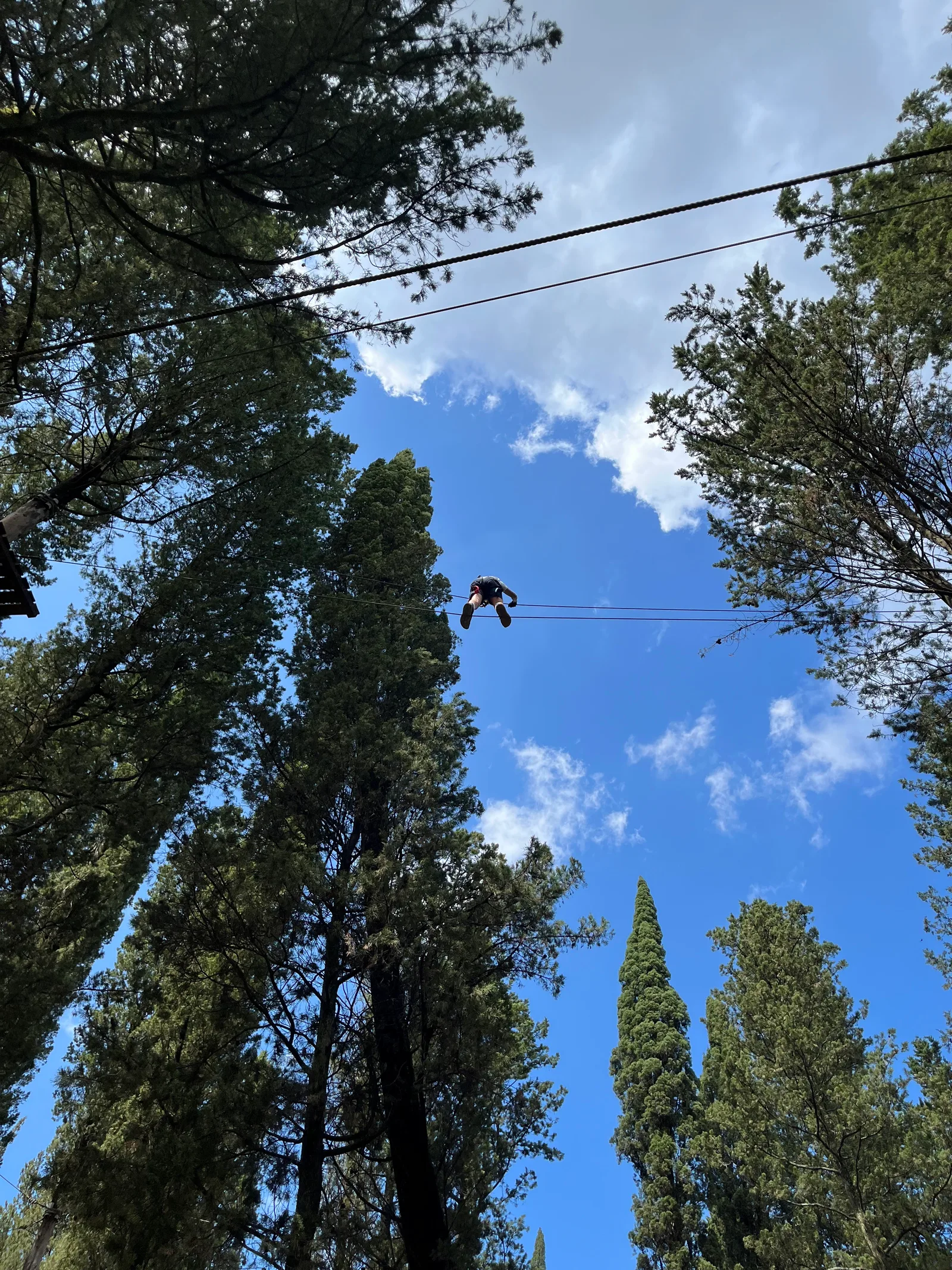 Atmosphere at Vincigliata Adventure Park Florence — travel photo