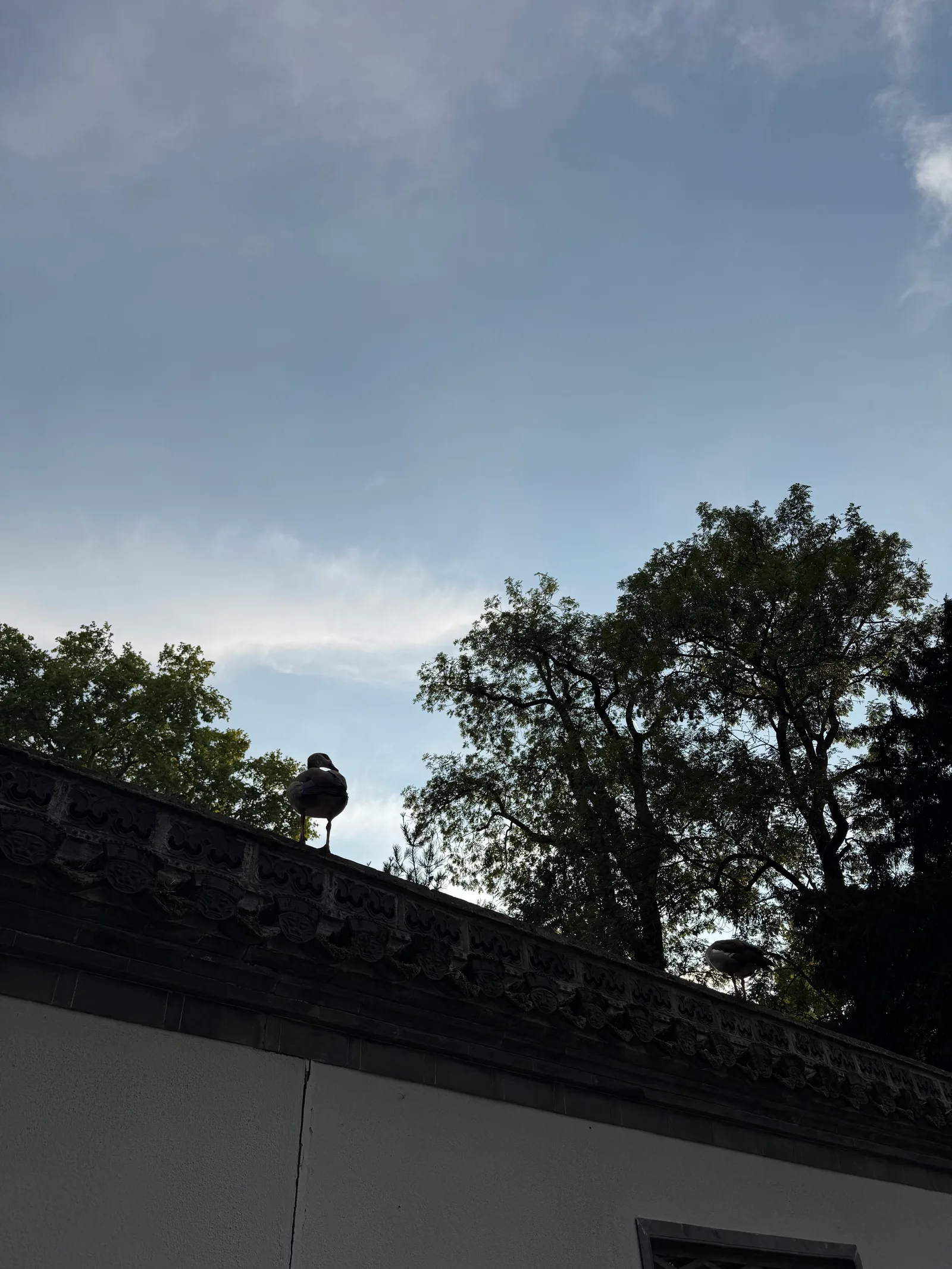 Main view at Bethmann Park Frankfurt — travel photo