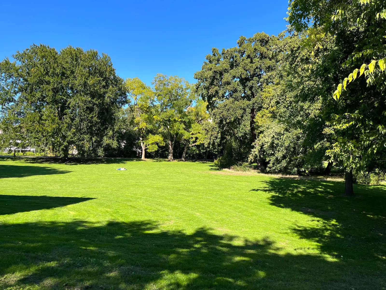 Atmosphere at Brentanopark Frankfurt — travel photo