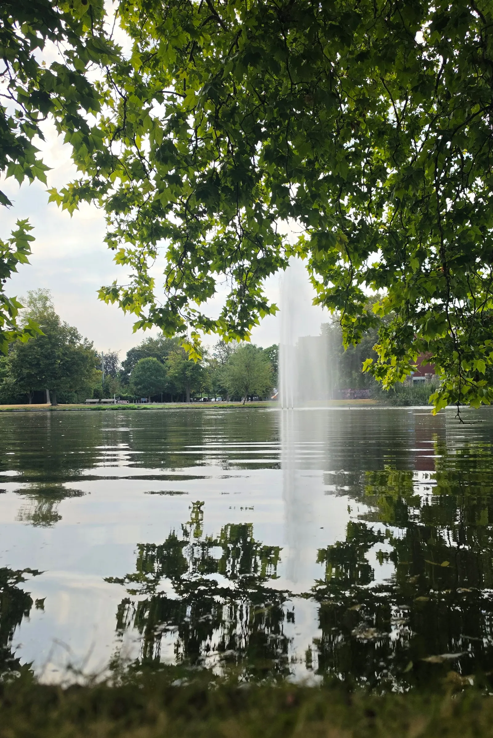 Main view at City Park Hoechst Frankfurt — travel photo
