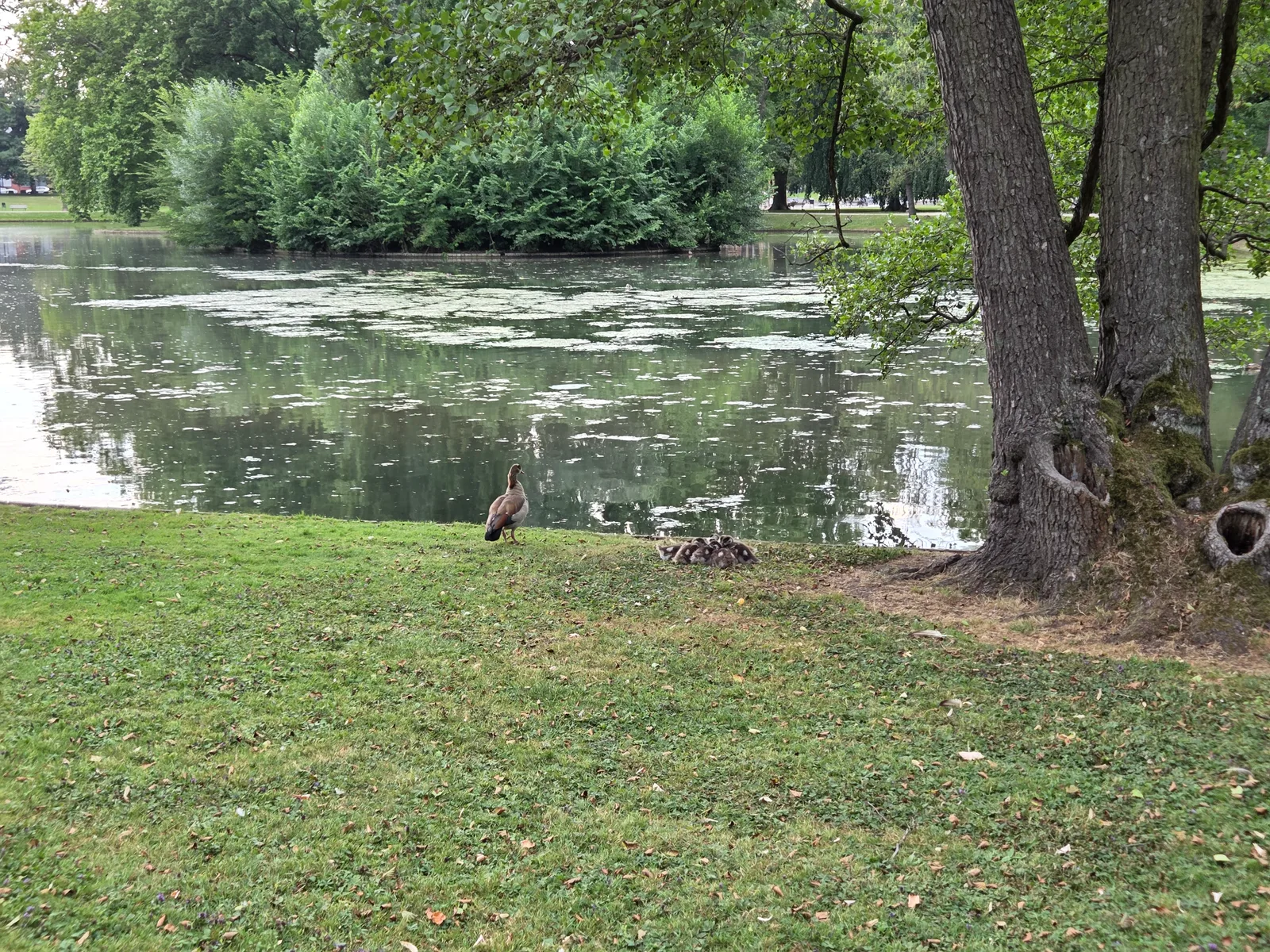 Details at City Park Hoechst Frankfurt — travel photo