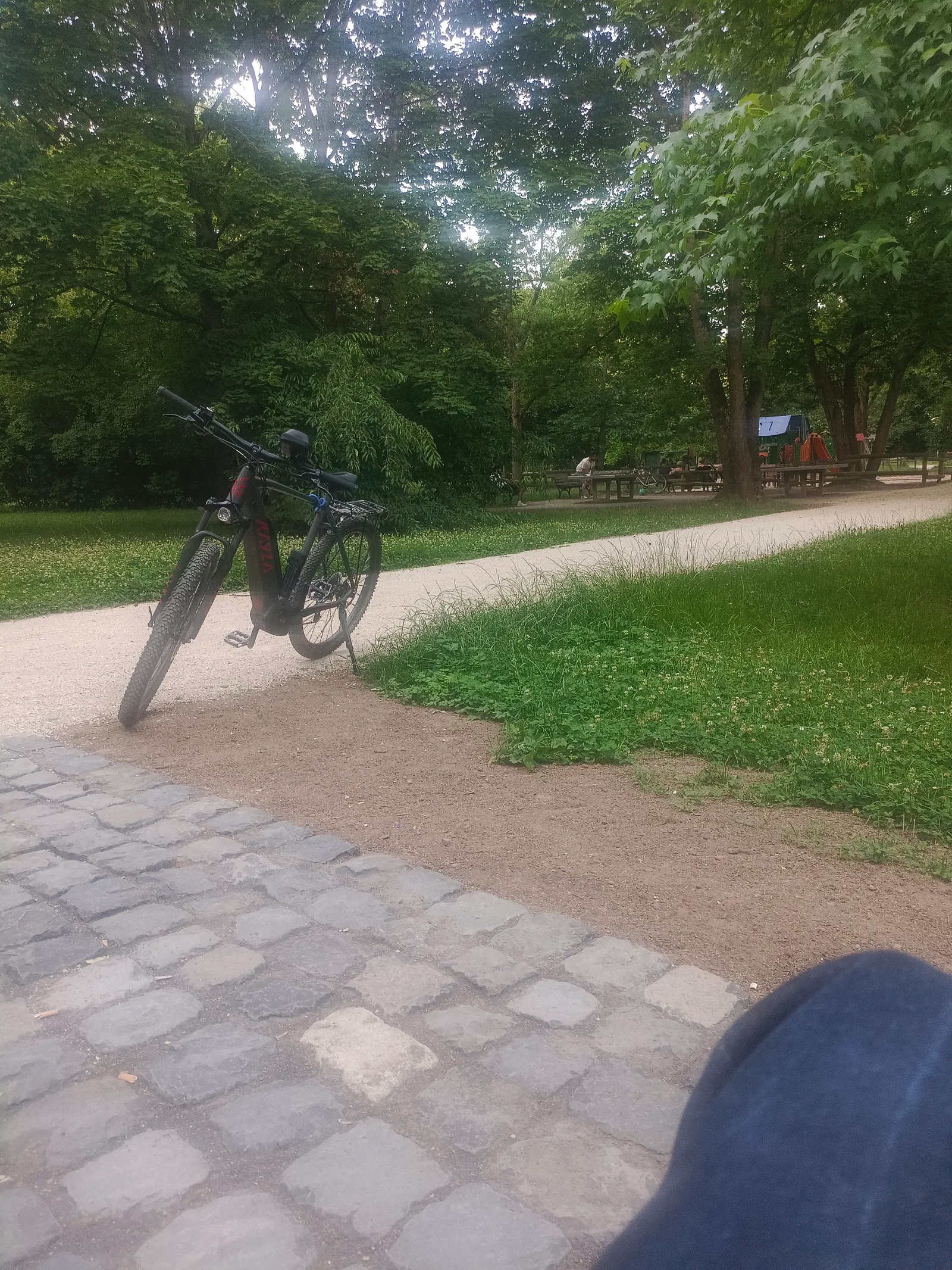 Main view at Elli-Lucht-Park Frankfurt — travel photo