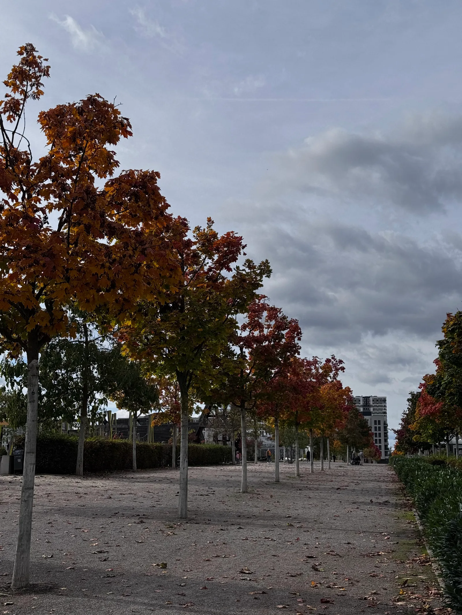 Main view at Europagarten Frankfurt — travel photo