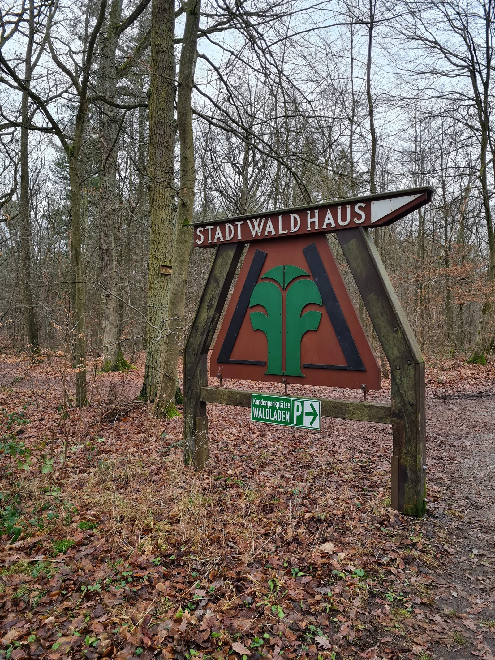 Main view at Frankfurt City Forest Frankfurt — travel photo