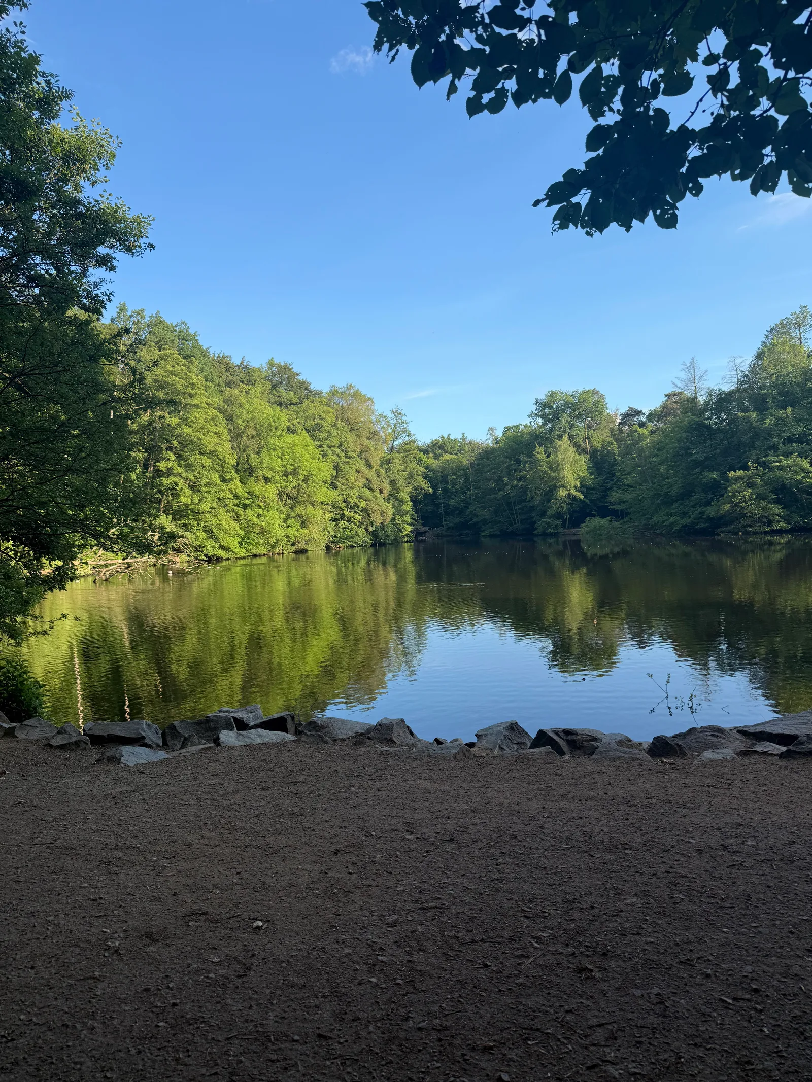 Details at Frankfurt City Forest Frankfurt — travel photo