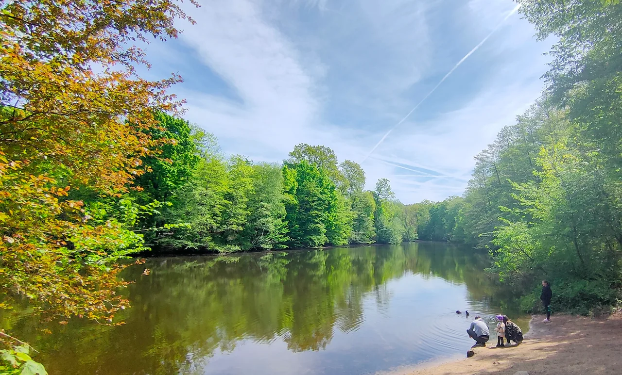 Frankfurt City Forest — budget guide Frankfurt