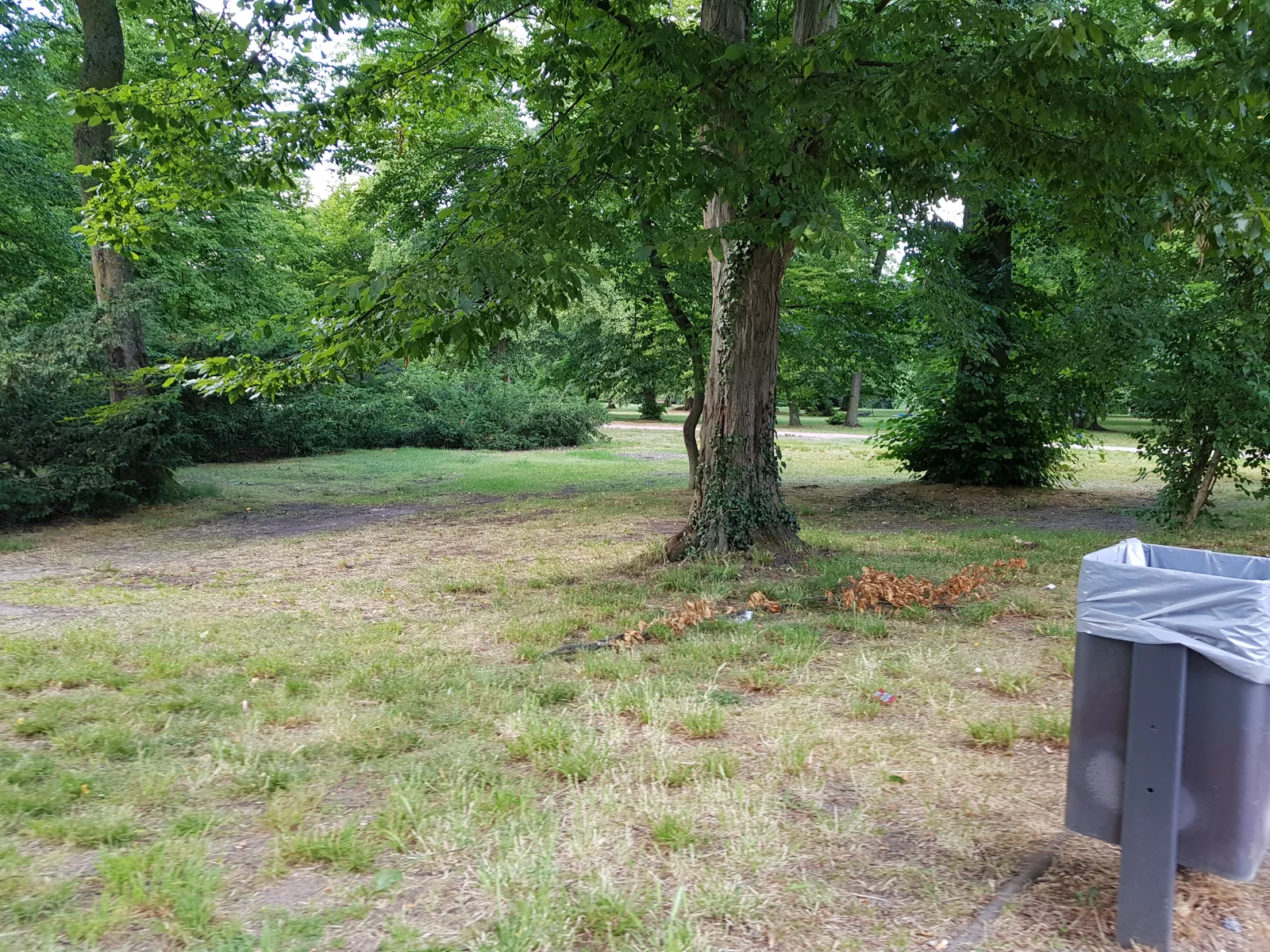 Main view at Goldstein Park Frankfurt — travel photo