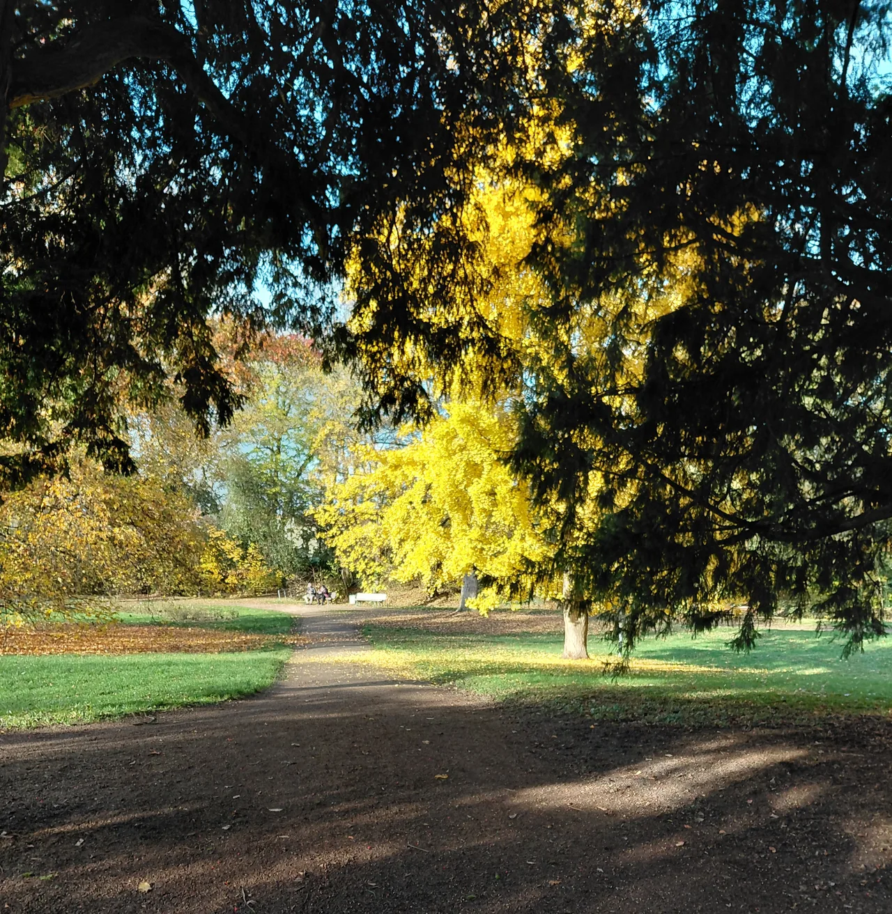 Goldstein Park — romantic guide Frankfurt