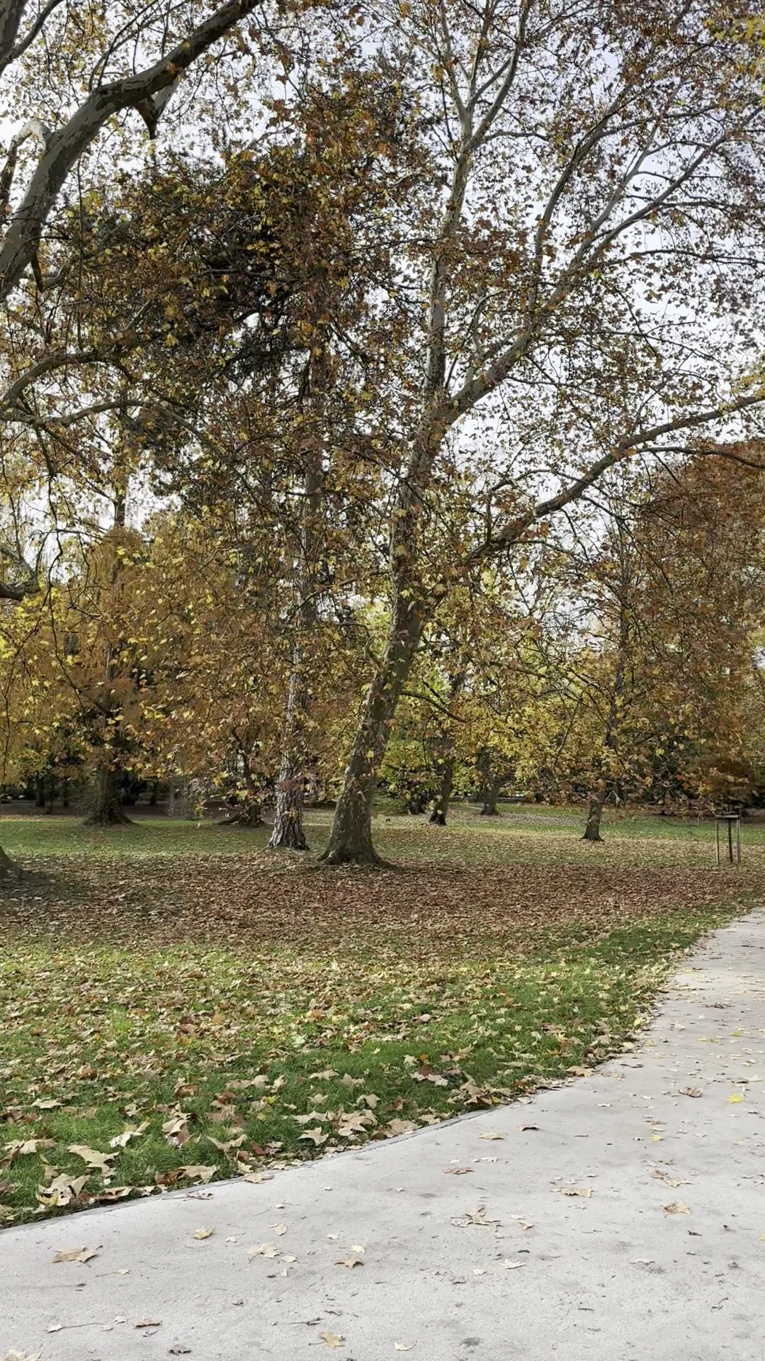Atmosphere at Günthersburgpark Frankfurt — travel photo