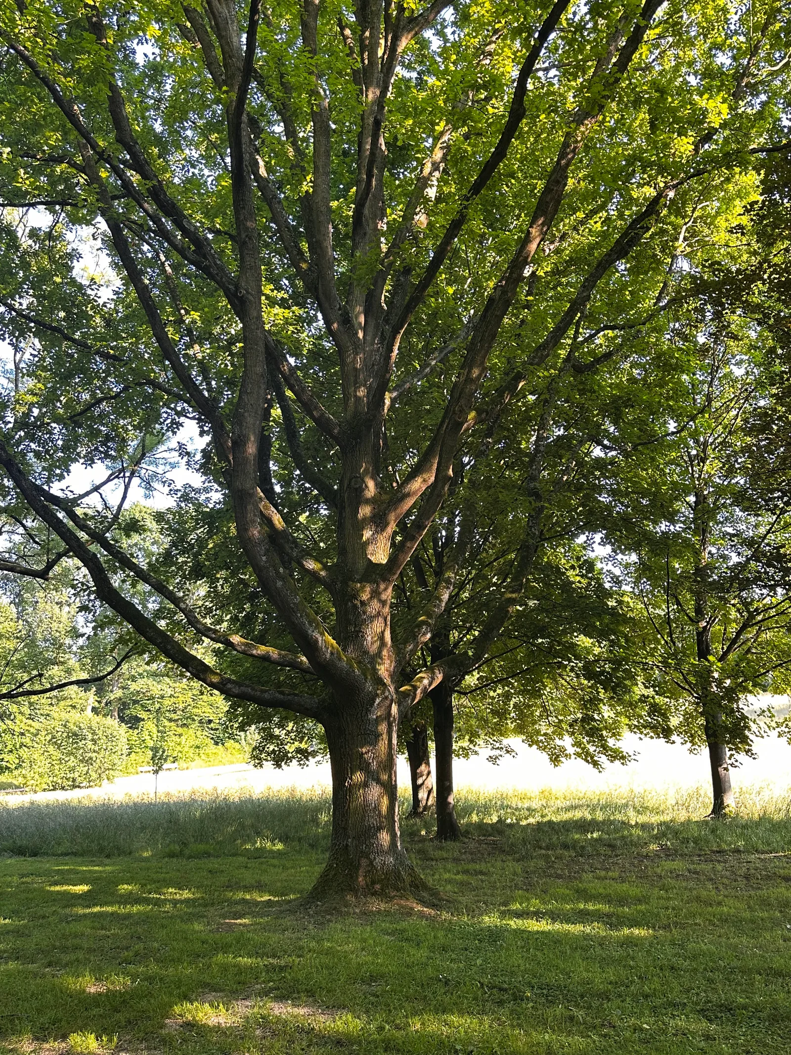 Atmosphere at Huthpark Frankfurt — travel photo