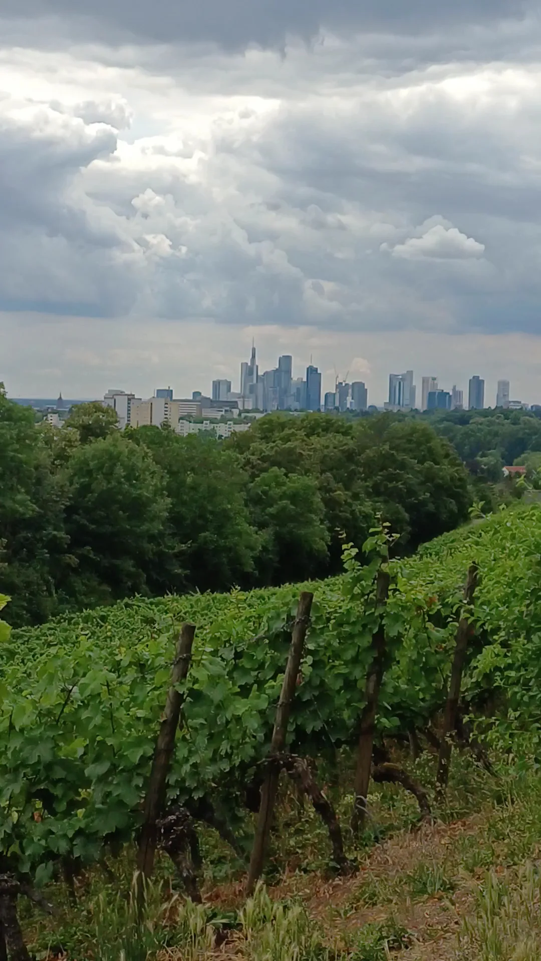 Main view at Lohrpark Frankfurt — travel photo
