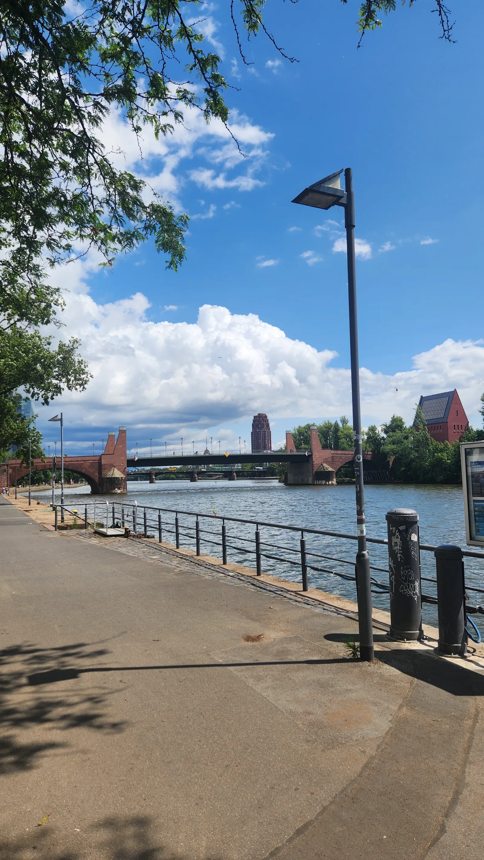 Atmosphere at Mainuferpark Frankfurt — travel photo