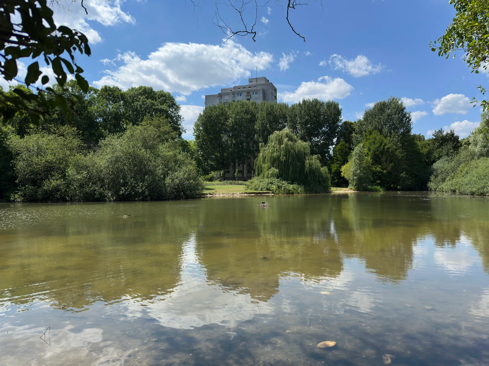 Interior at Martin-Luther-King-Park Frankfurt — travel photo