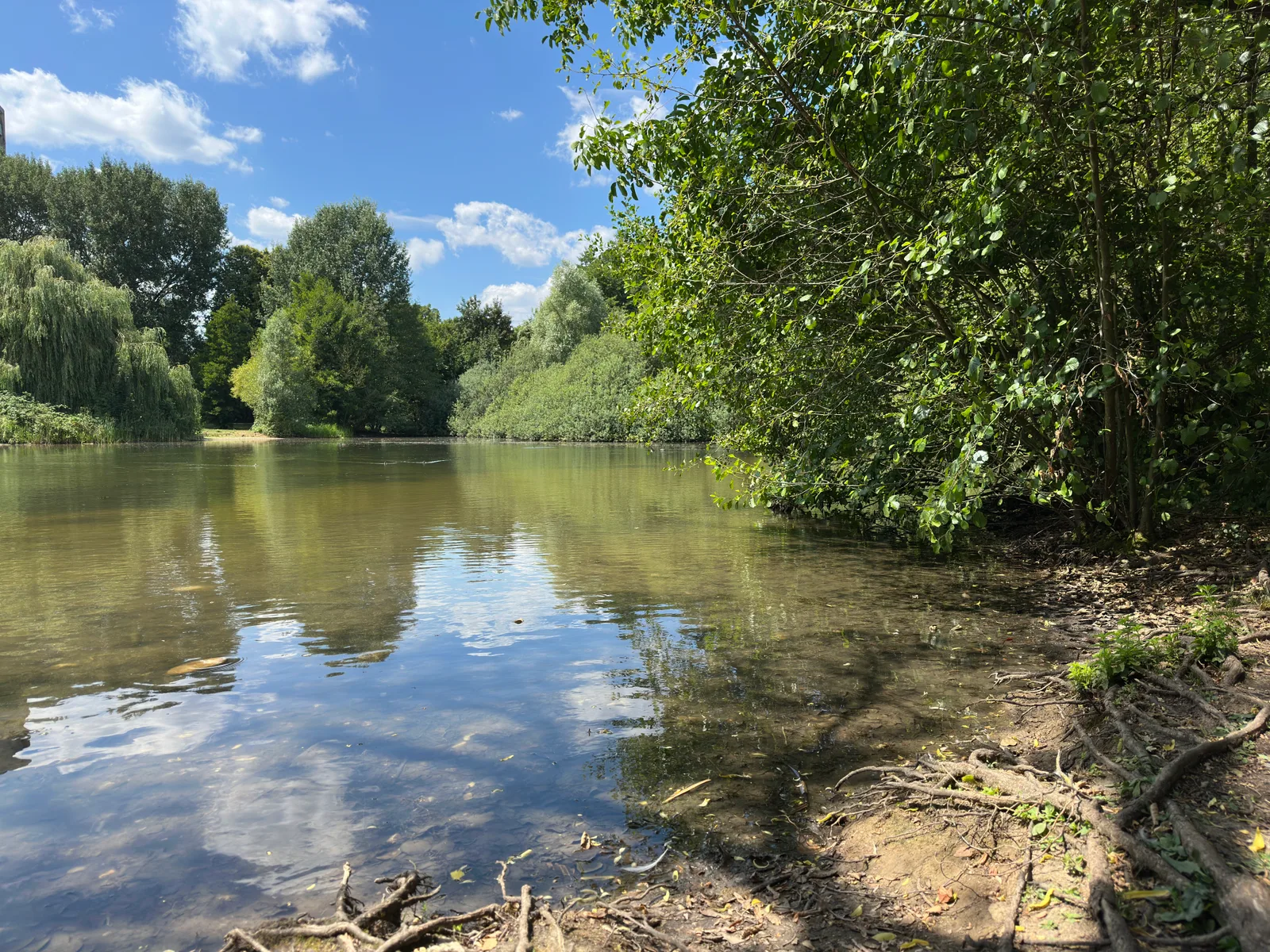 Atmosphere at Martin-Luther-King-Park Frankfurt — travel photo