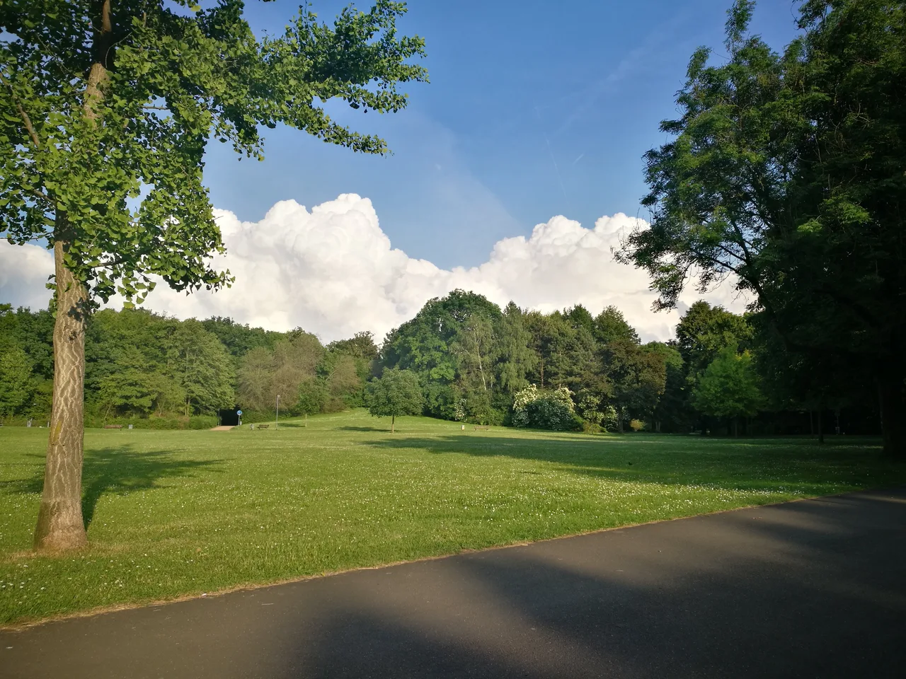 Martin-Luther-King-Park β budget guide Frankfurt
