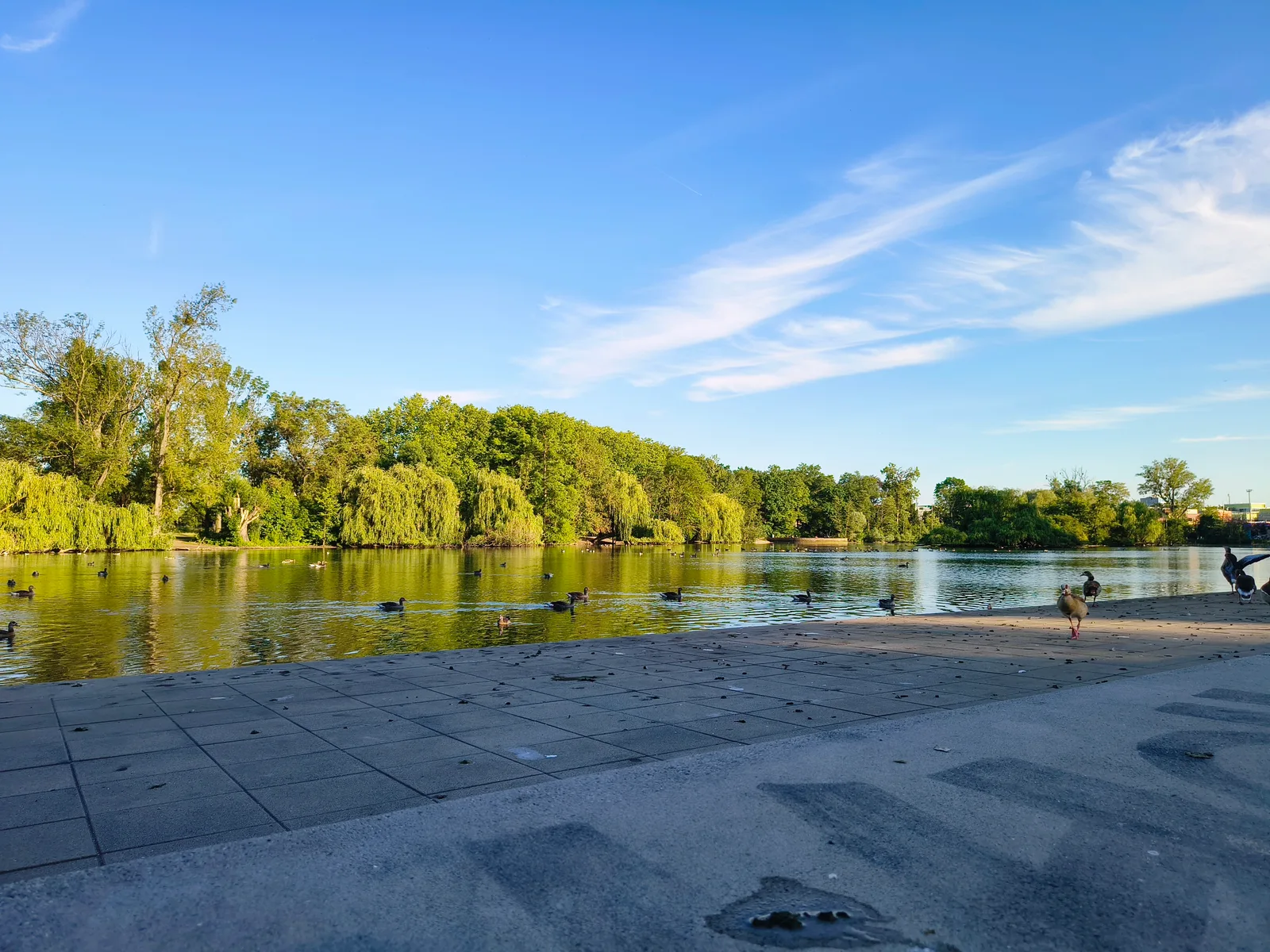 Details at Ostpark Frankfurt — travel photo