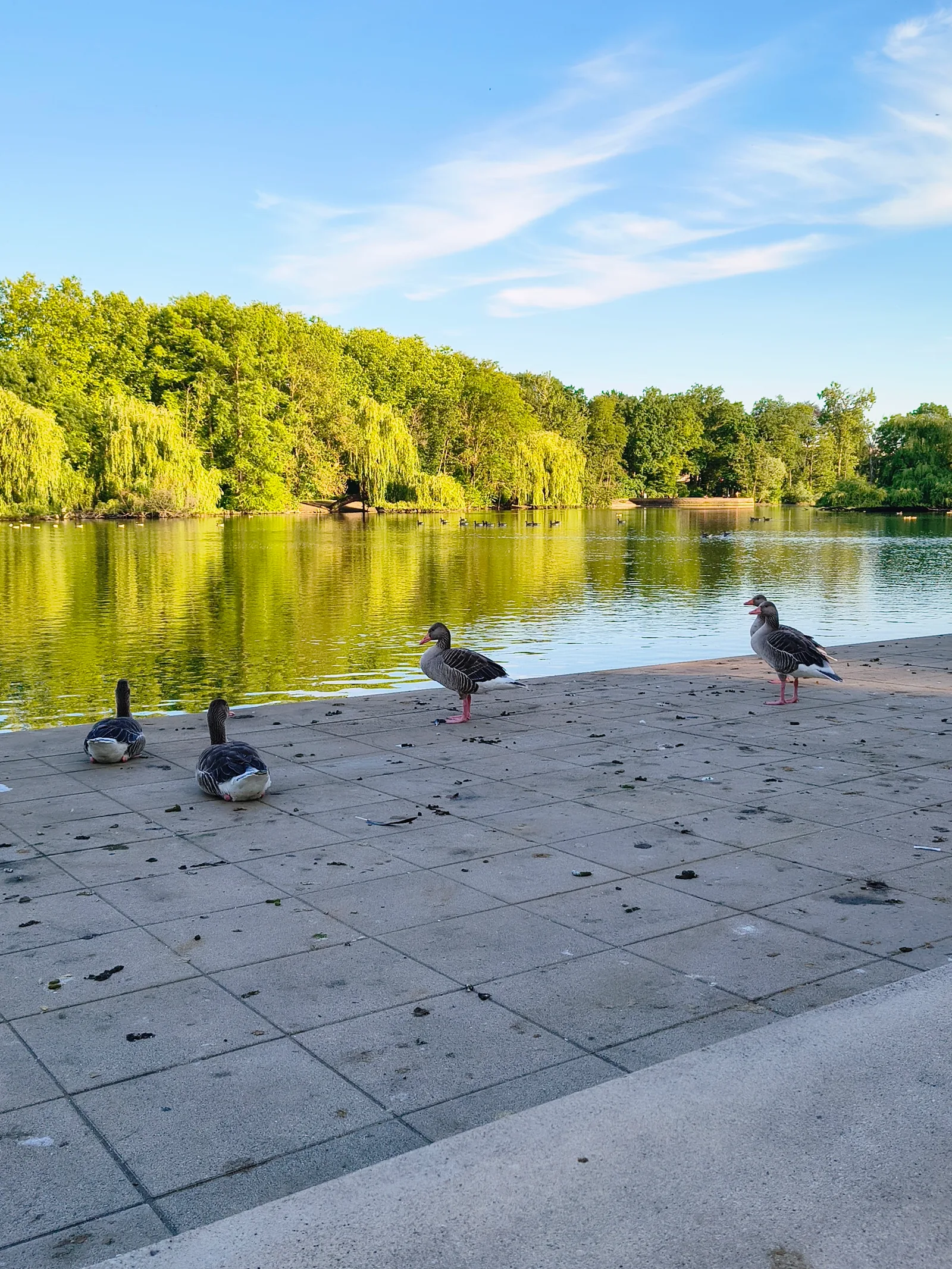 Atmosphere at Ostpark Frankfurt — travel photo