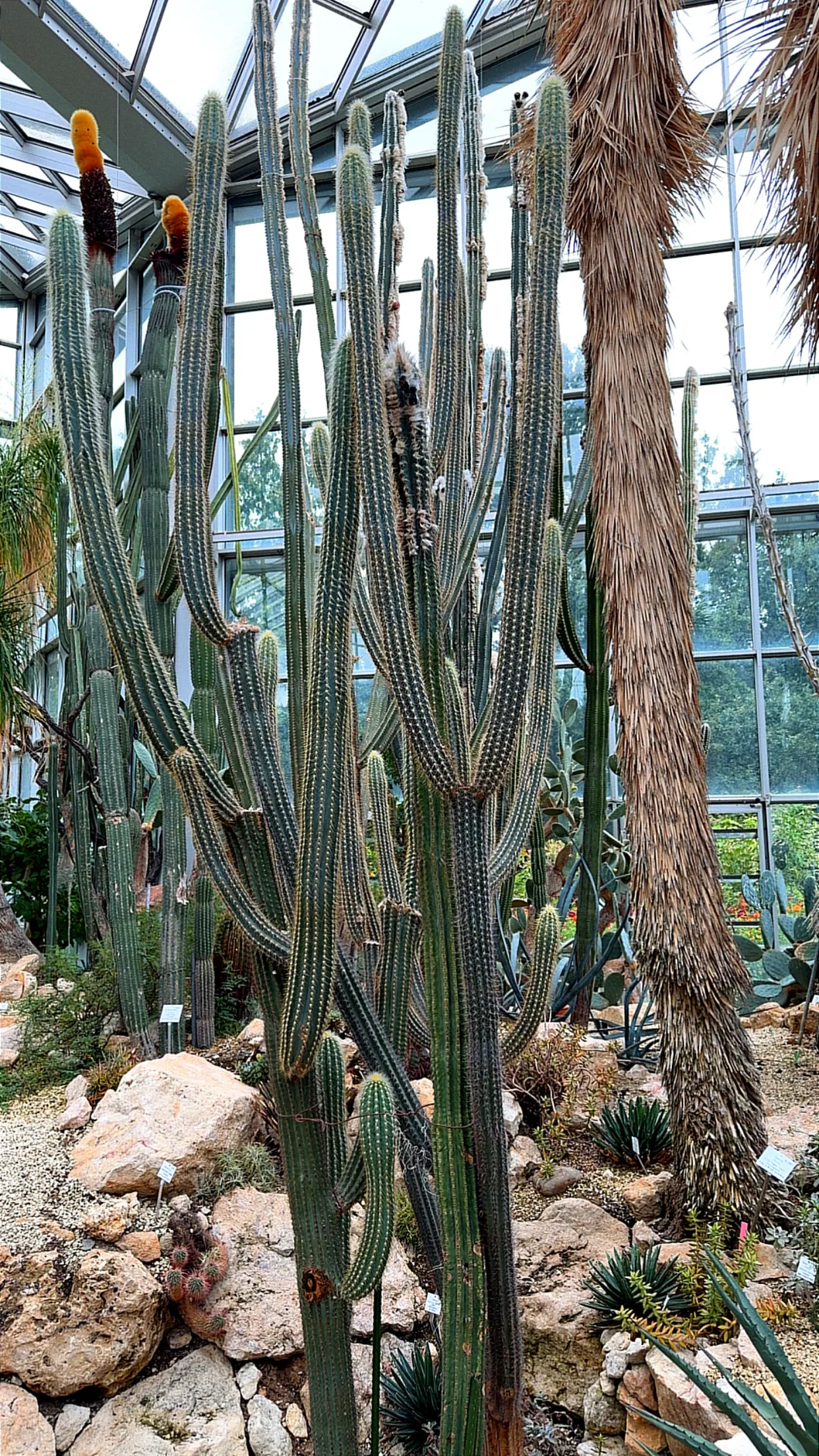 Main view at Palmengarten Frankfurt Frankfurt — travel photo