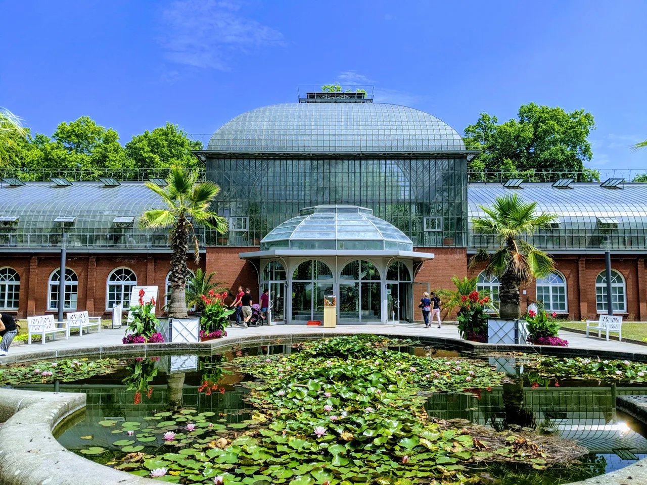 Palmengarten Frankfurt — rainy day guide Frankfurt