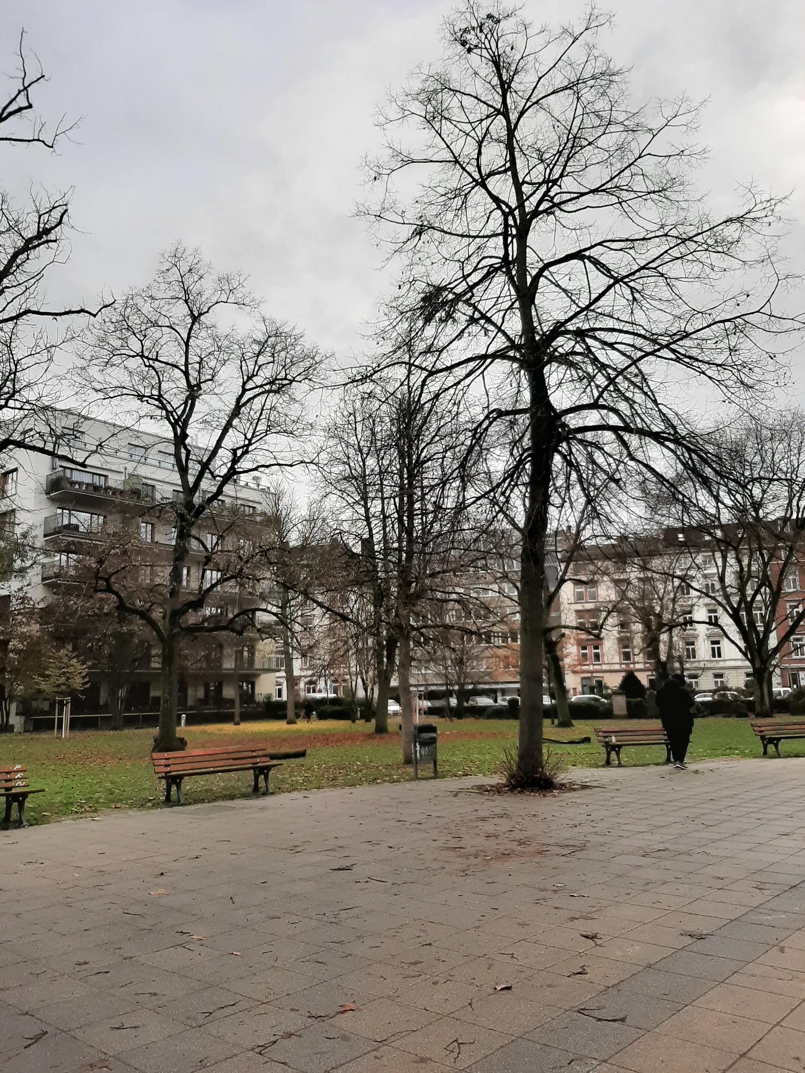 Interior at Park walking path/trail Frankfurt — travel photo