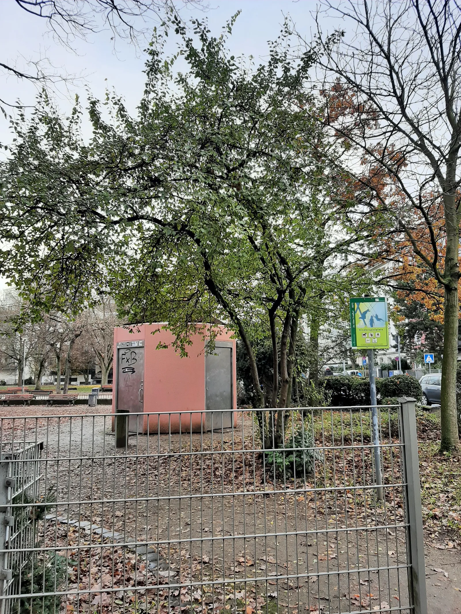 Atmosphere at Park walking path/trail Frankfurt — travel photo
