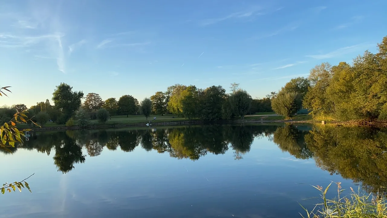 Rebstockpark