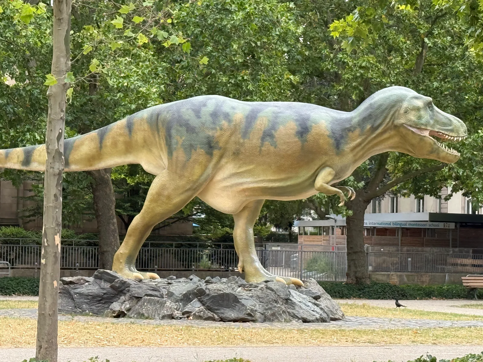 Details at Senckenberg Nature Museum Frankfurt — travel photo