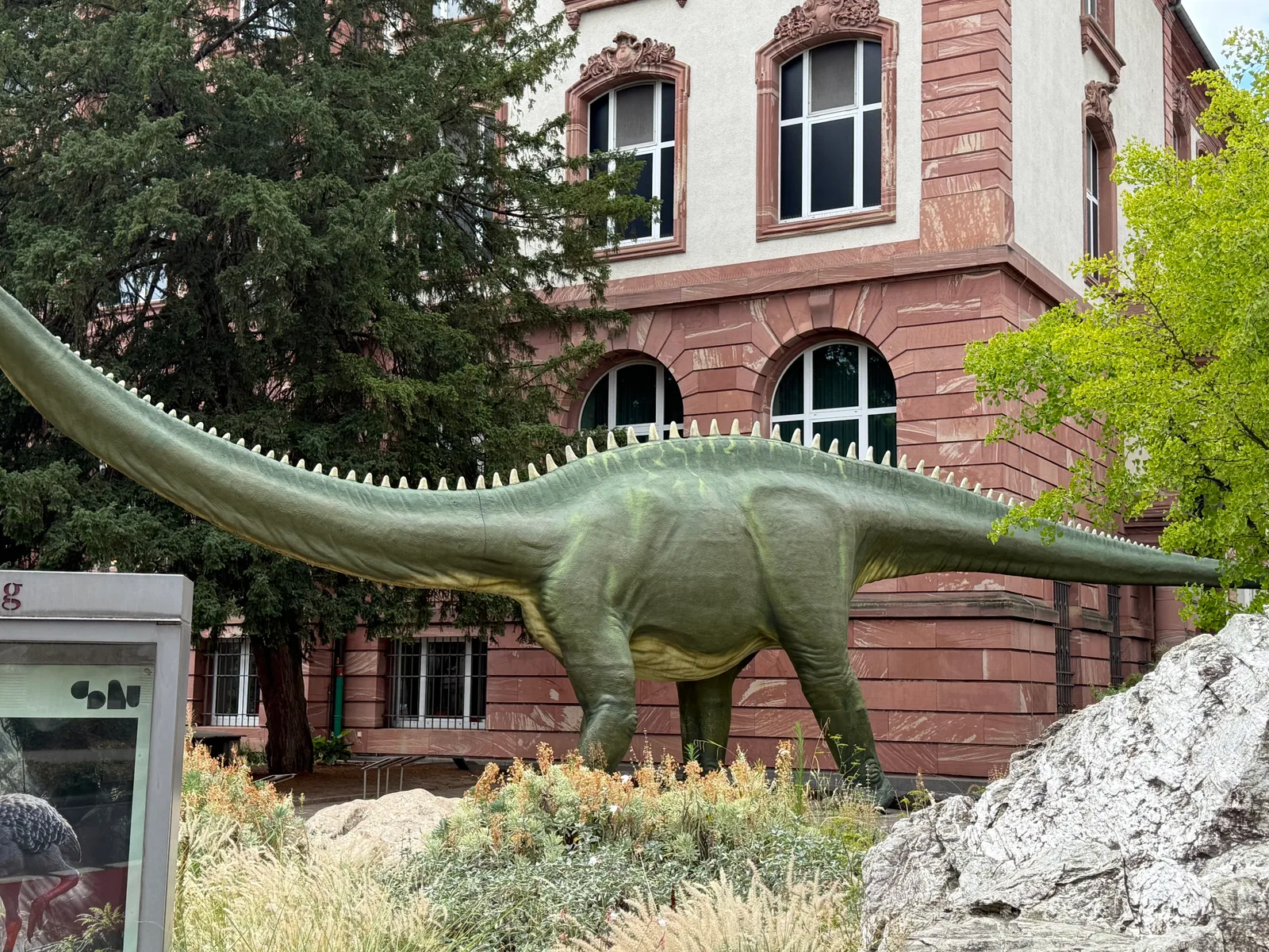 Atmosphere at Senckenberg Nature Museum Frankfurt — travel photo