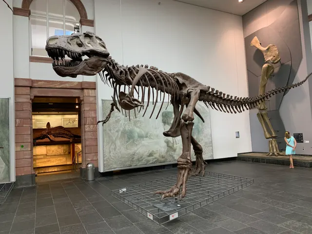 Senckenberg Nature Museum in Frankfurt