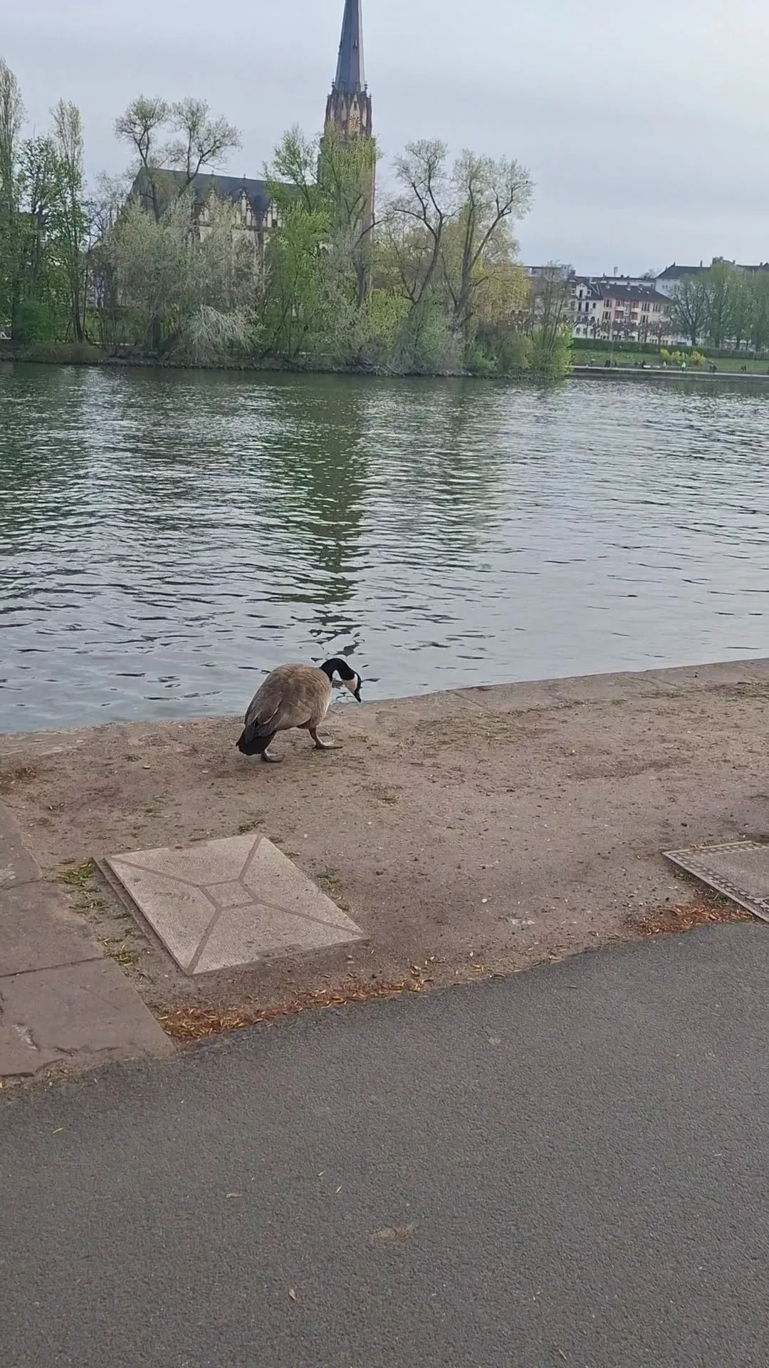 Atmosphere at Uferpromenade Schöne Aussicht Frankfurt — travel photo