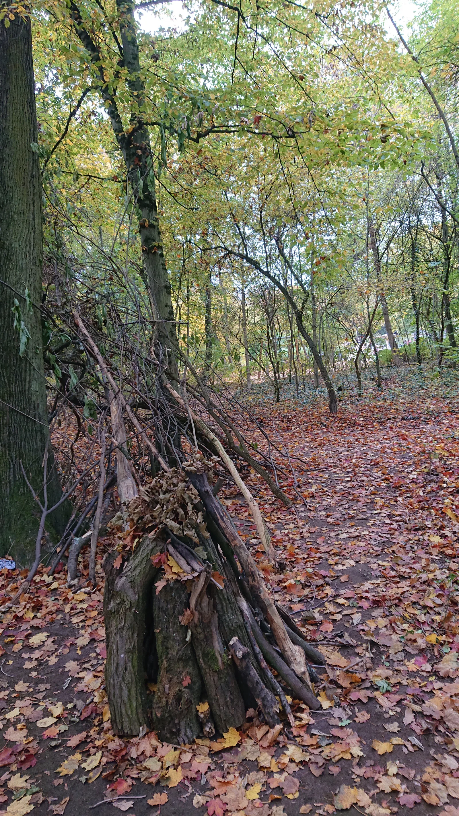 Atmosphere at Waldspielpark Louisa Frankfurt — travel photo