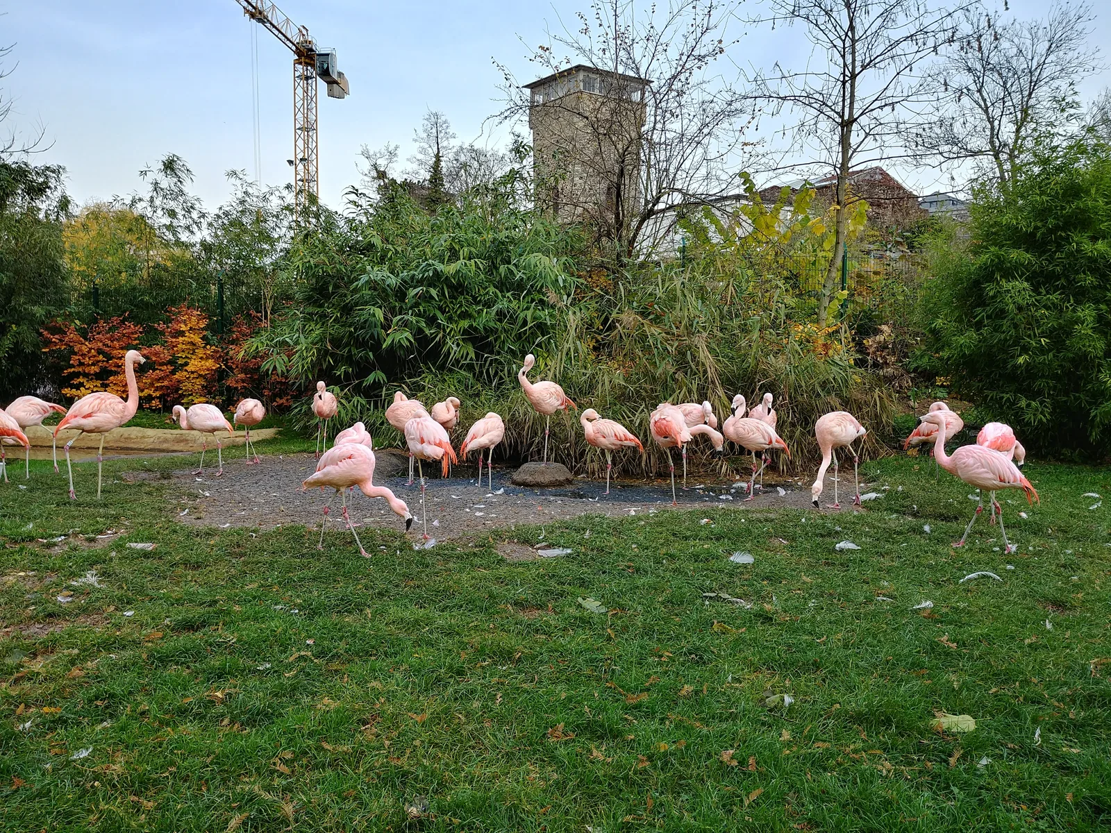 Main view at Zoo Frankfurt Frankfurt — travel photo