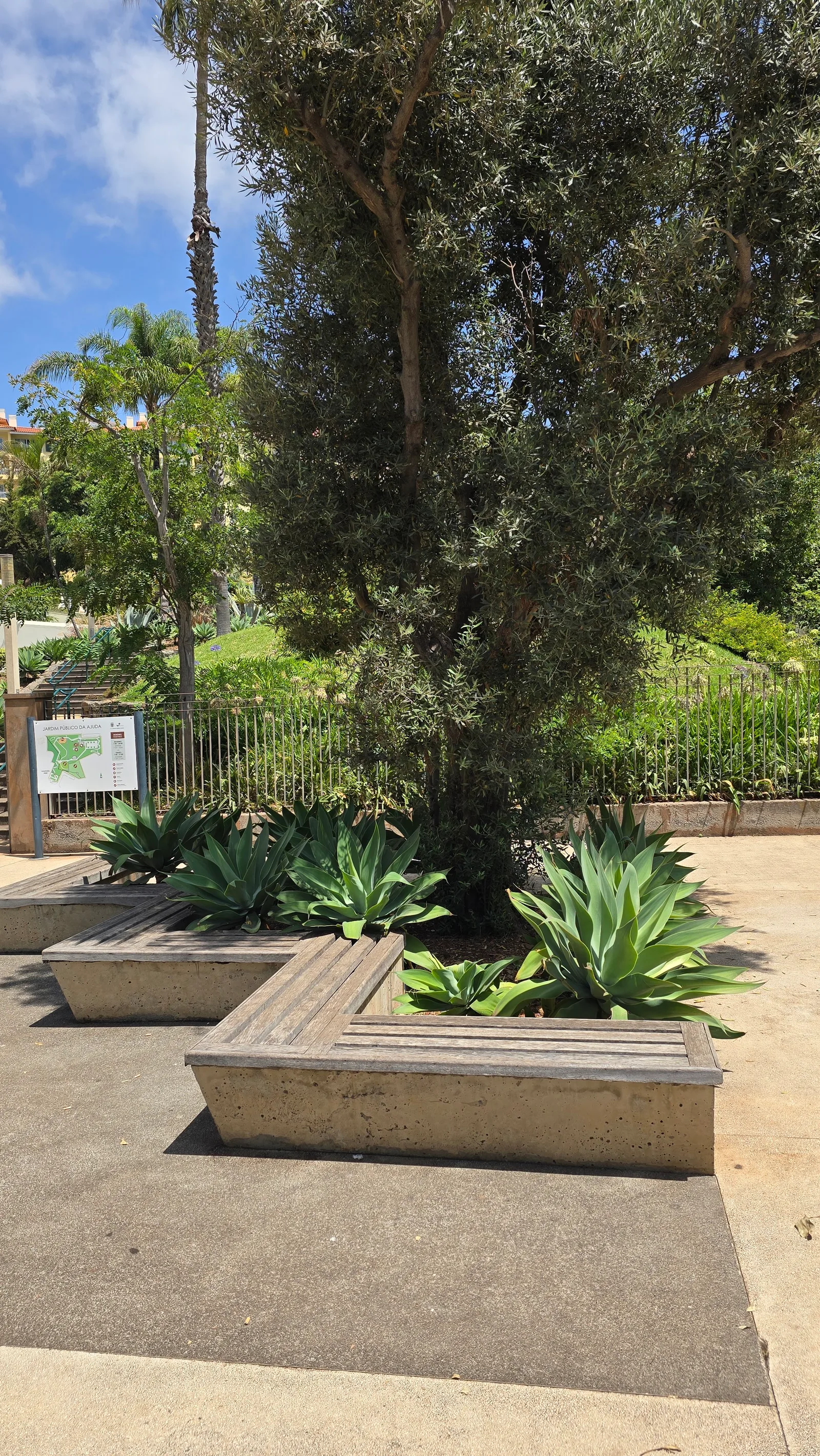 Interior at Ajuda Public Garden Funchal — travel photo