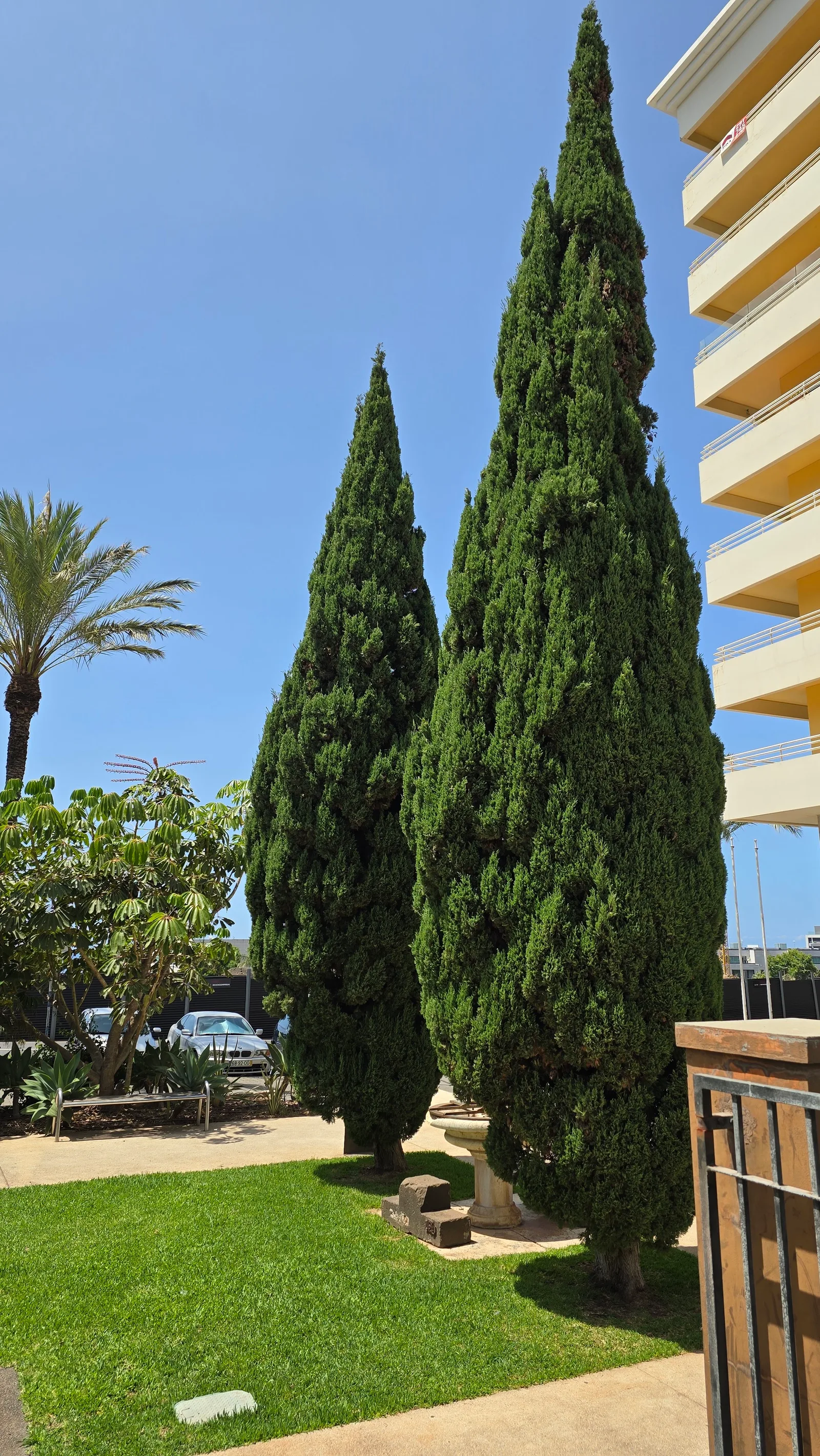 Details at Ajuda Public Garden Funchal — travel photo