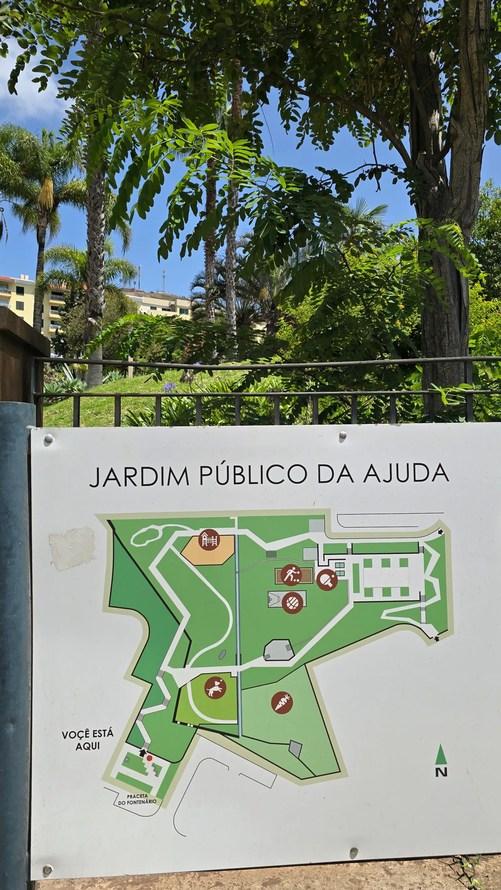 Atmosphere at Ajuda Public Garden Funchal — travel photo