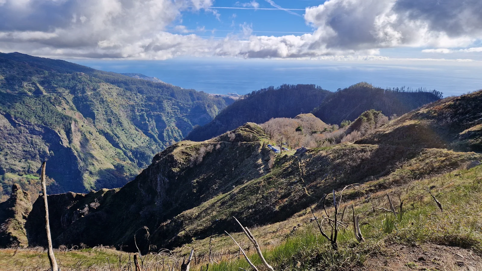 Details at Boca da Corrida viewpoint Funchal — travel photo