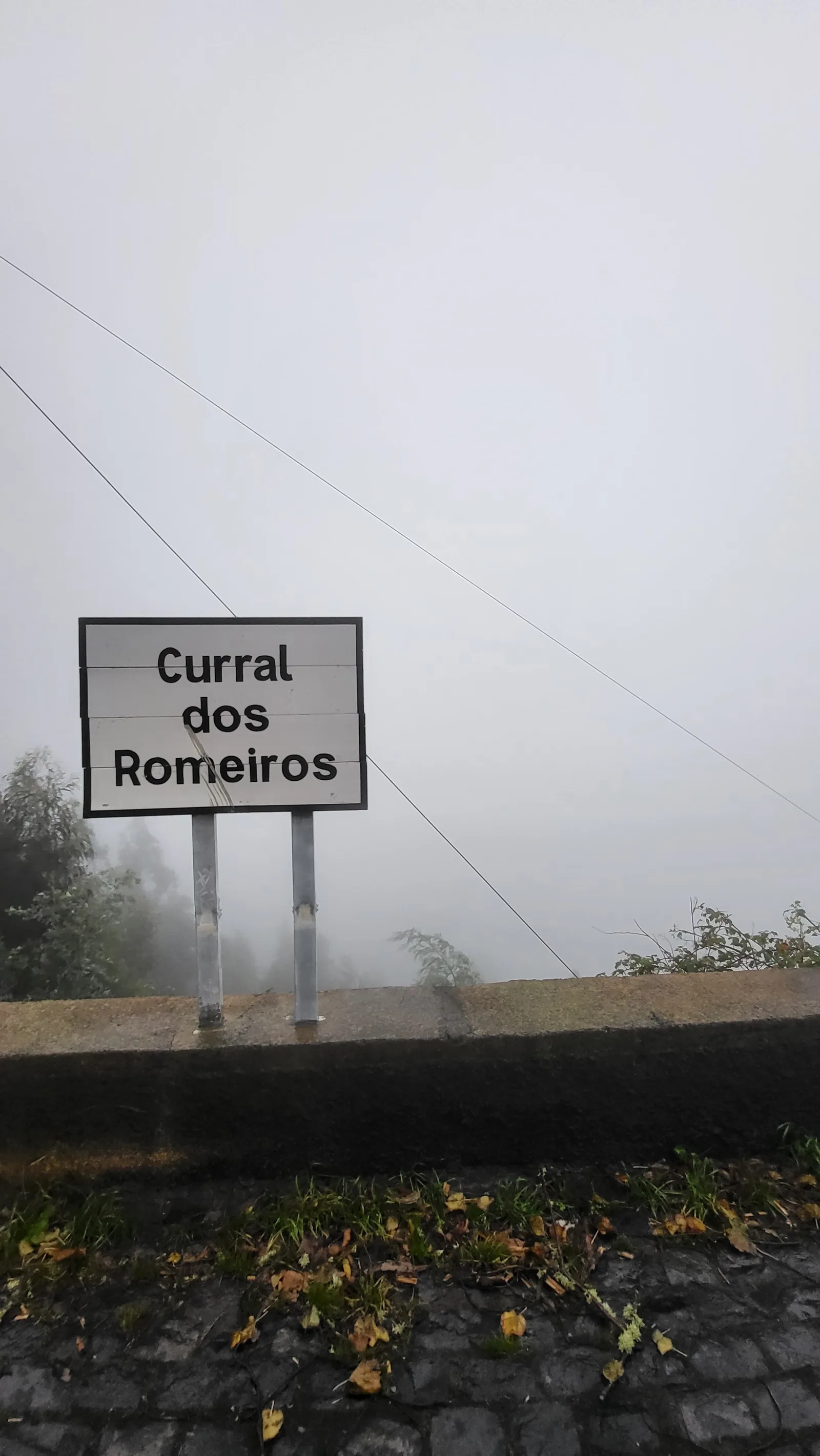 Details at Curral dos Romeiros viewpoint Funchal — travel photo