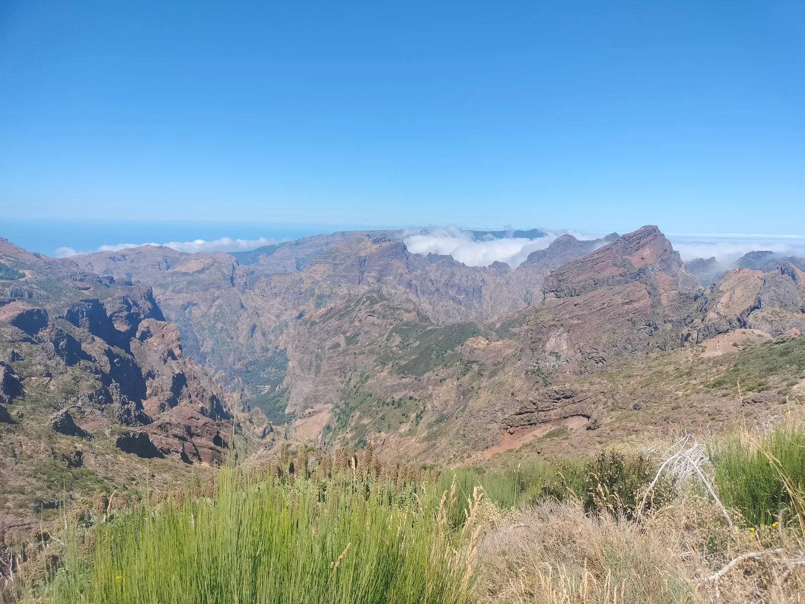 Main view at Funchal Ecological Park Funchal — travel photo